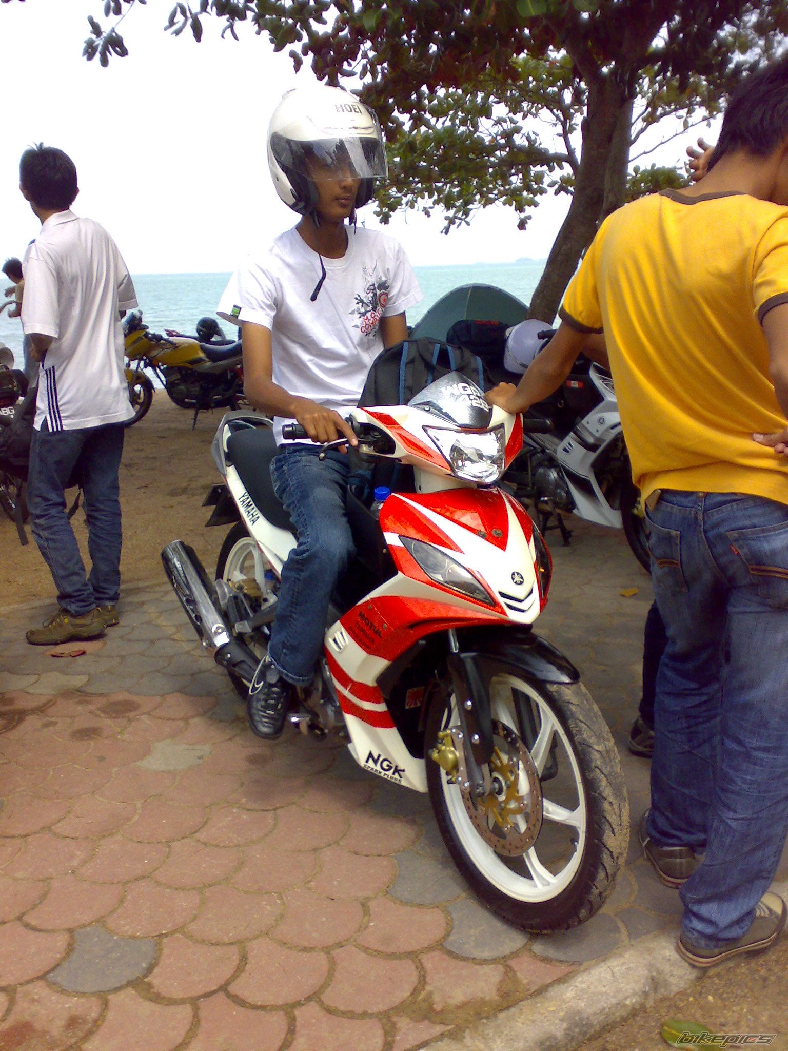 2009 YAMAHA 135 LC | Picture 1633228 motorcycle photo