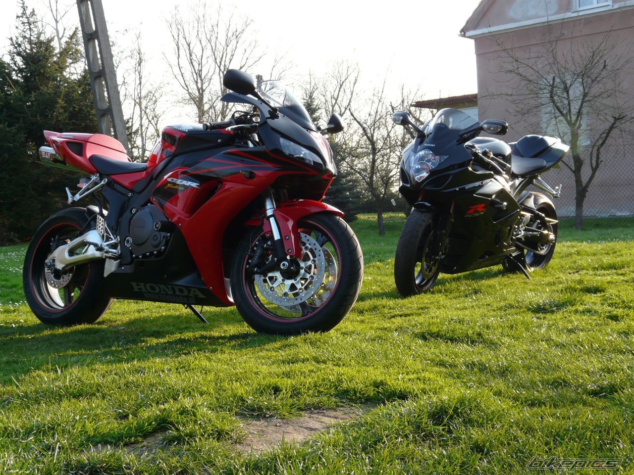 2006 HONDA CBR 1000  RR | Picture 1633501 motorcycle photo