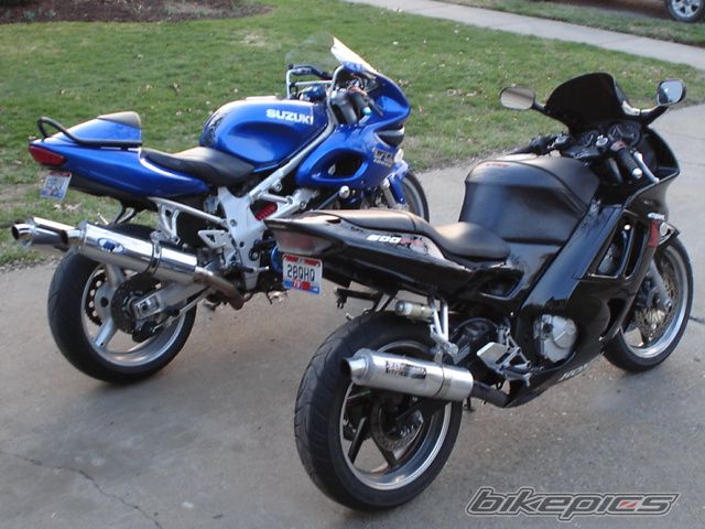 1995 HONDA CBR 600 | Picture 1633602 motorcycle photo