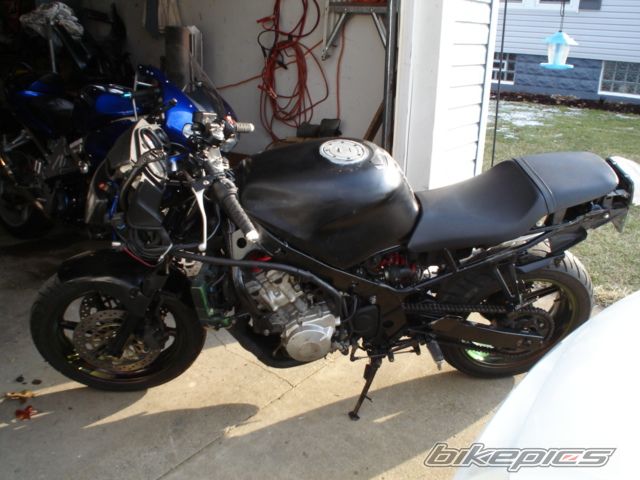 1995 HONDA CBR 600 | Picture 1633607 motorcycle photo