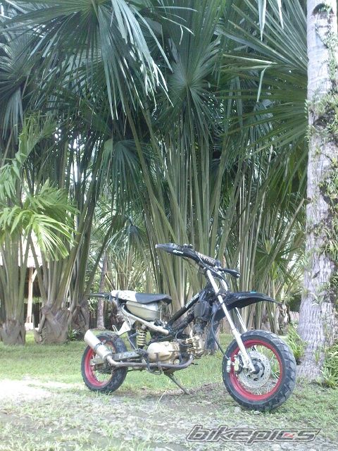 2008 YAMAHA CRYPTON R 105 | Picture 1633704 motorcycle photo
