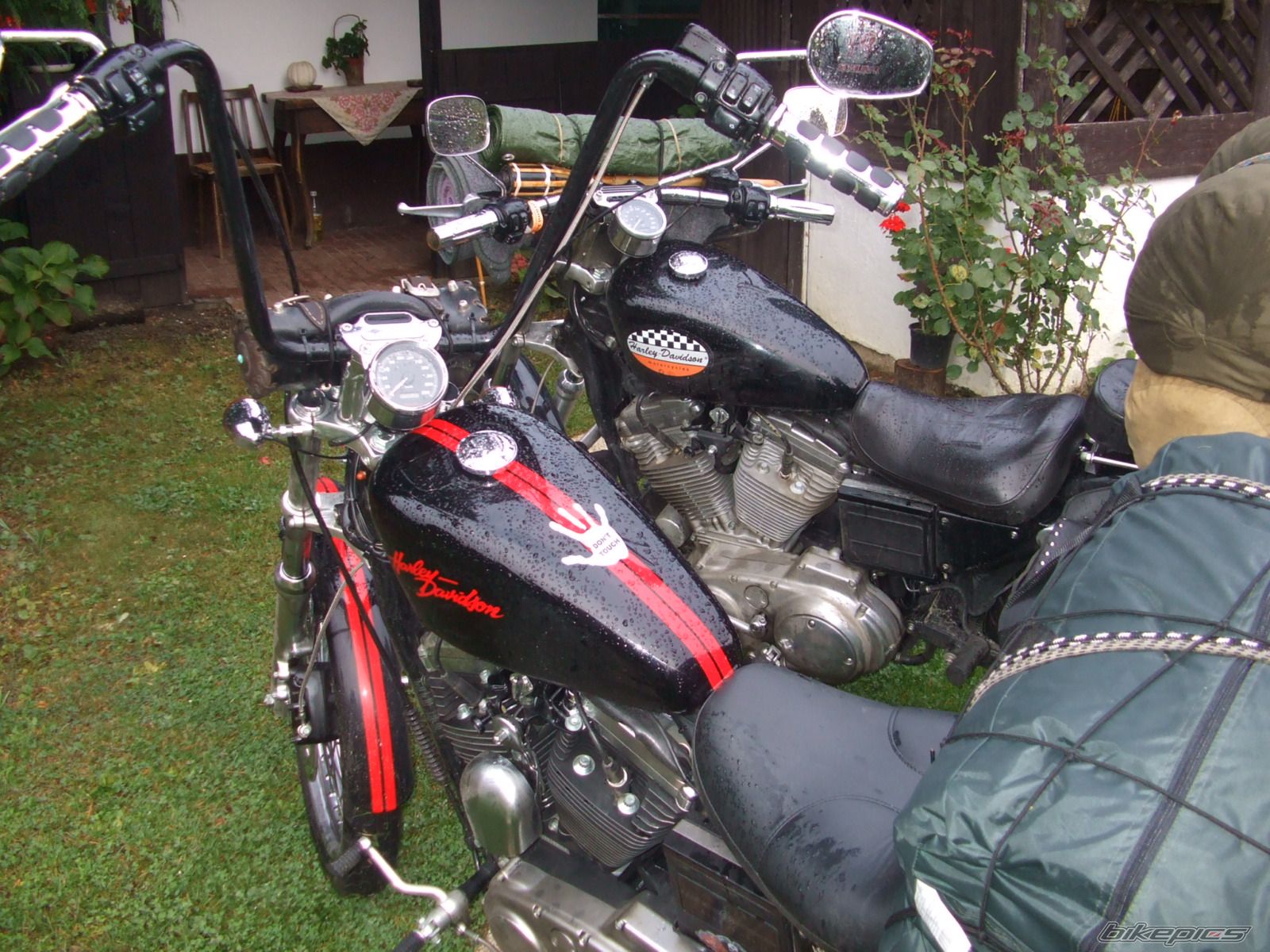 2003 HARLEY DAVIDSON XL 1200 C | Picture 1633875 motorcycle photo
