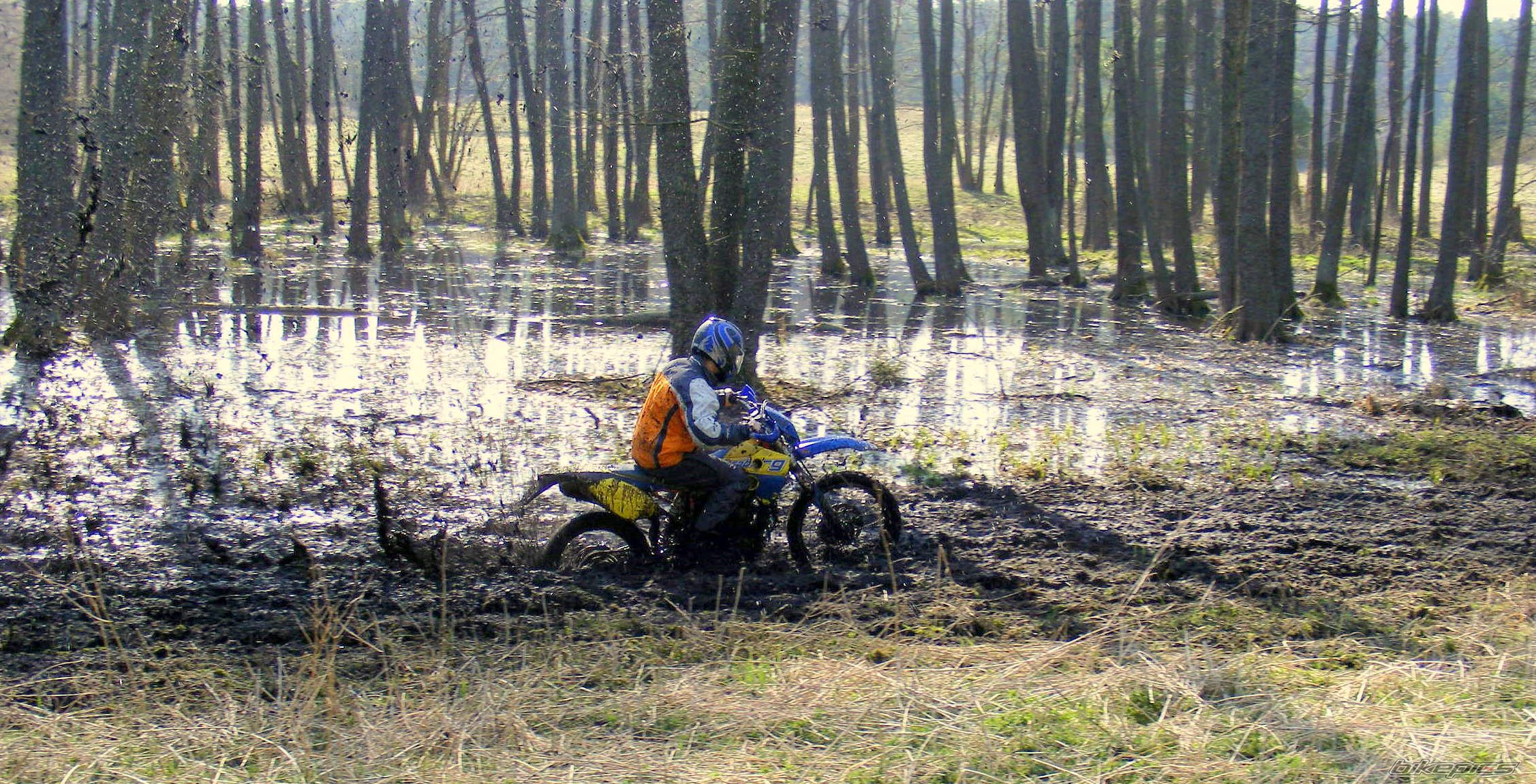 2001 HUSABERG FE 450 E | Picture 1633889 motorcycle photo
