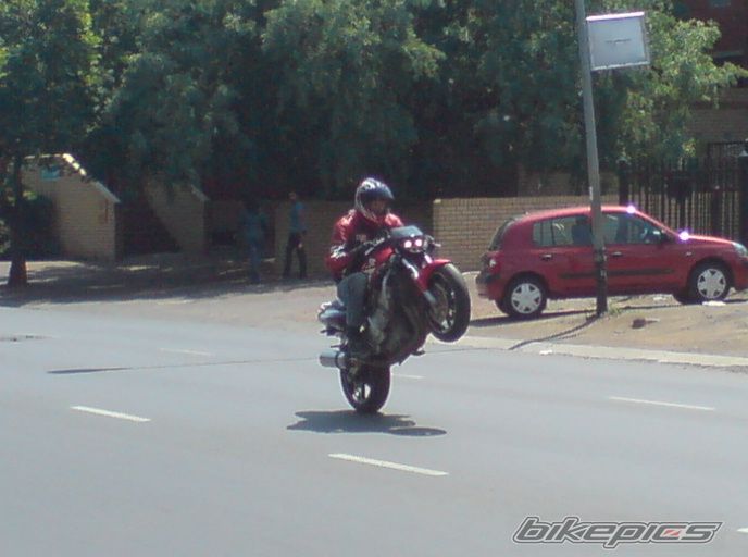 1998 HONDA CBR 600 FS | Picture 1634087 motorcycle photo