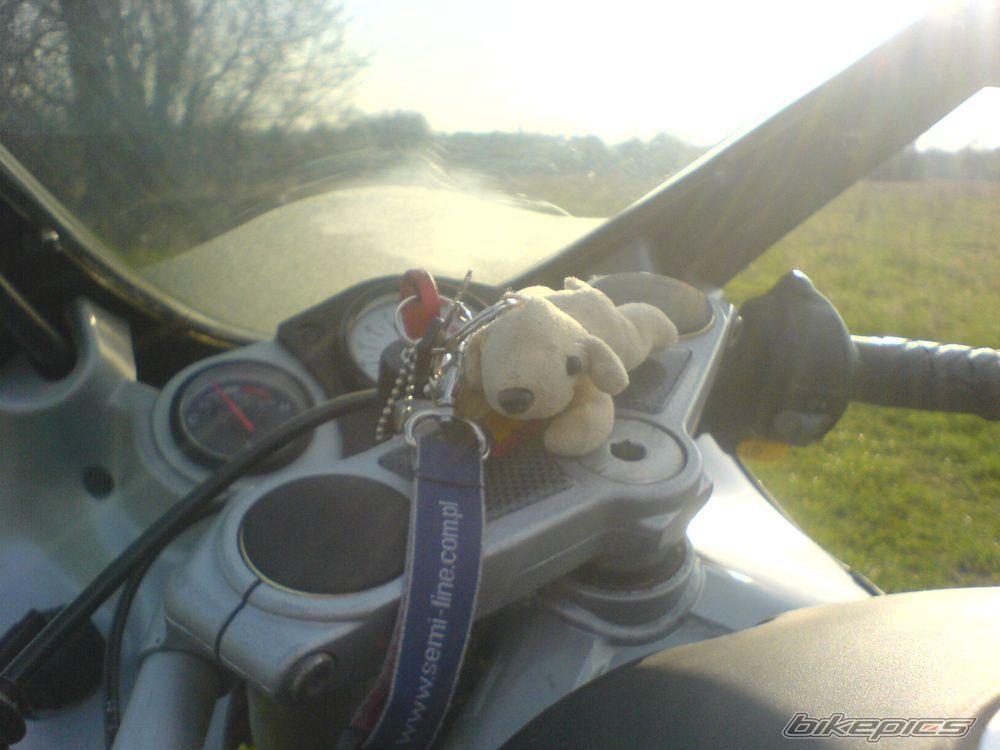 2001 MOTORHISPANIA RX 50 | Picture 1634115 motorcycle photo