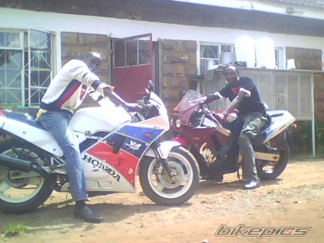 1992 HONDA CBR 250 | Picture 1634339 motorcycle photo
