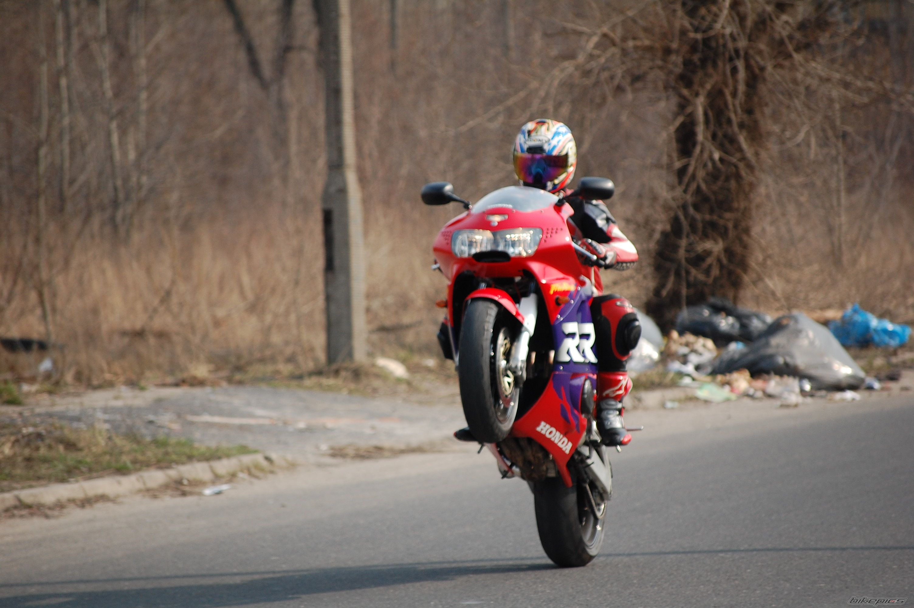 1998 HONDA CBR 900 | Picture 1634526 motorcycle photo