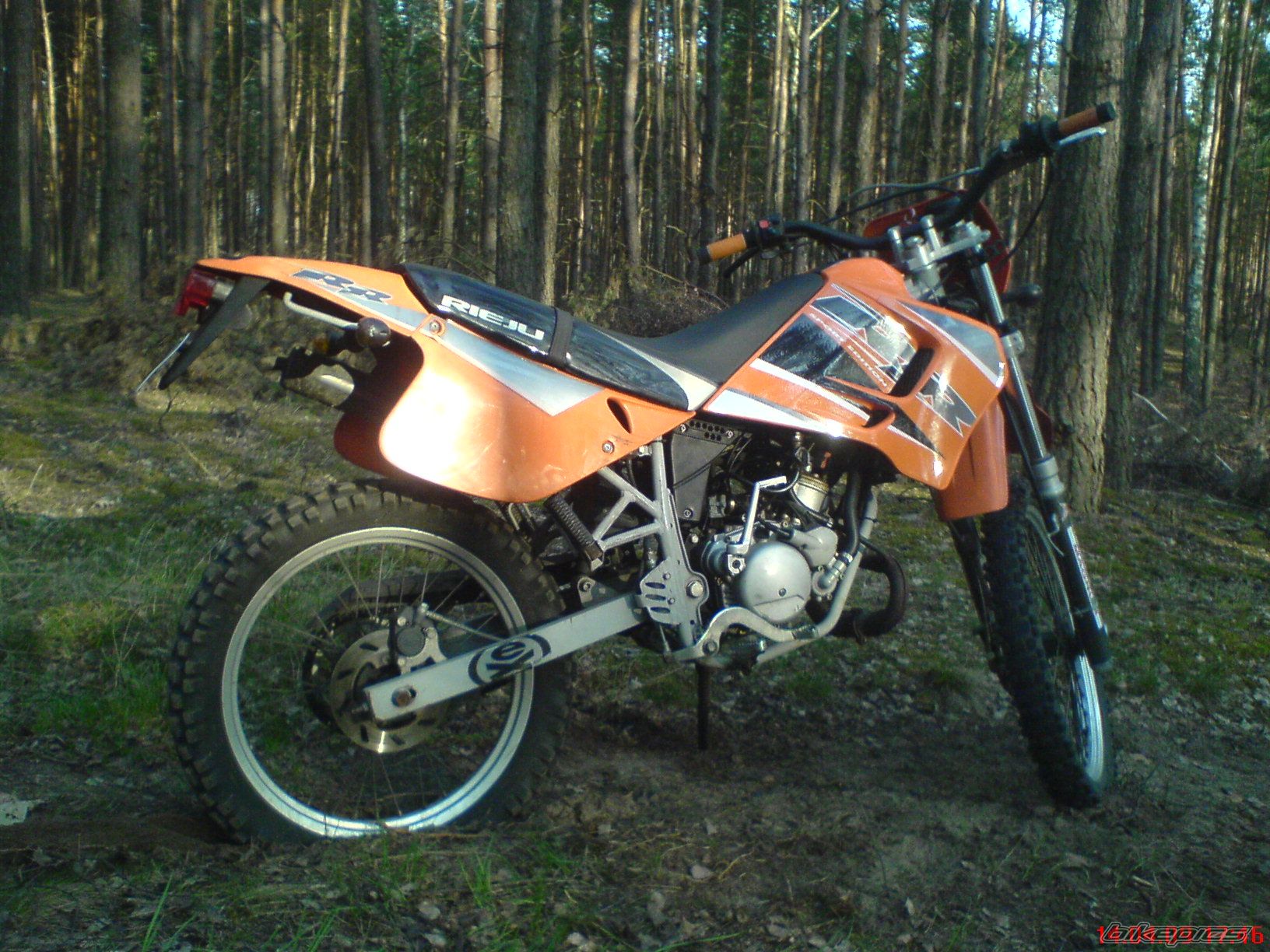 2004 RIEJU RR 50 | Picture 1634550 motorcycle photo
