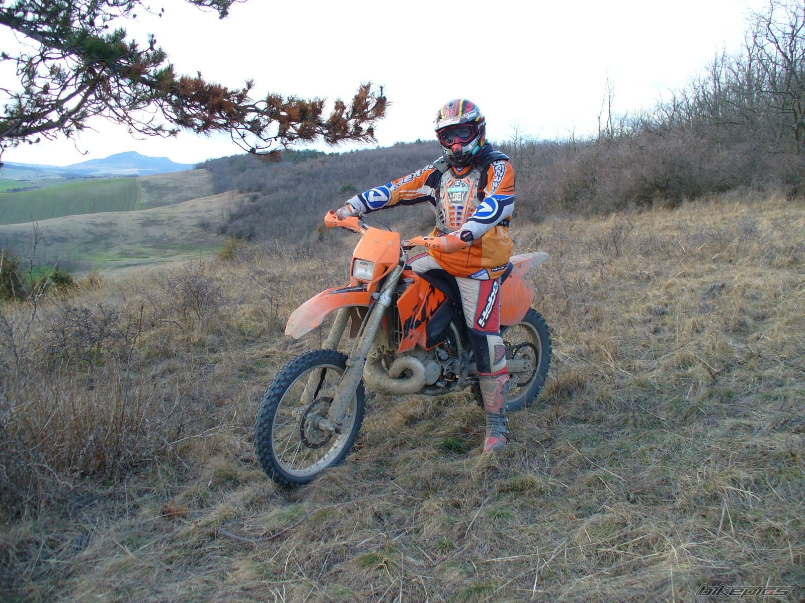 2003 KTM 200 EXC | Picture 1635274 motorcycle photo