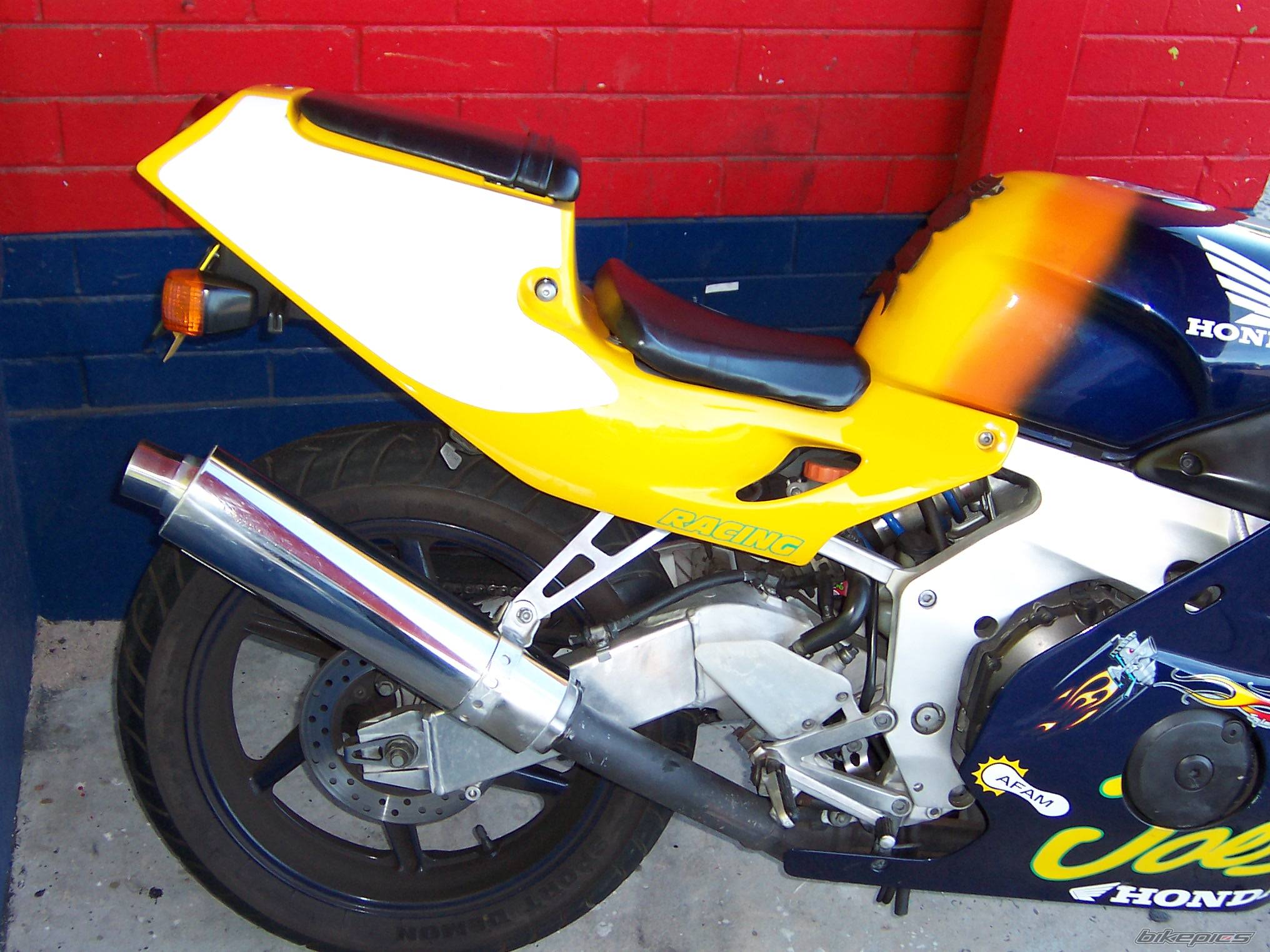 1991 HONDA CBR 250 | Picture 163535 motorcycle photo