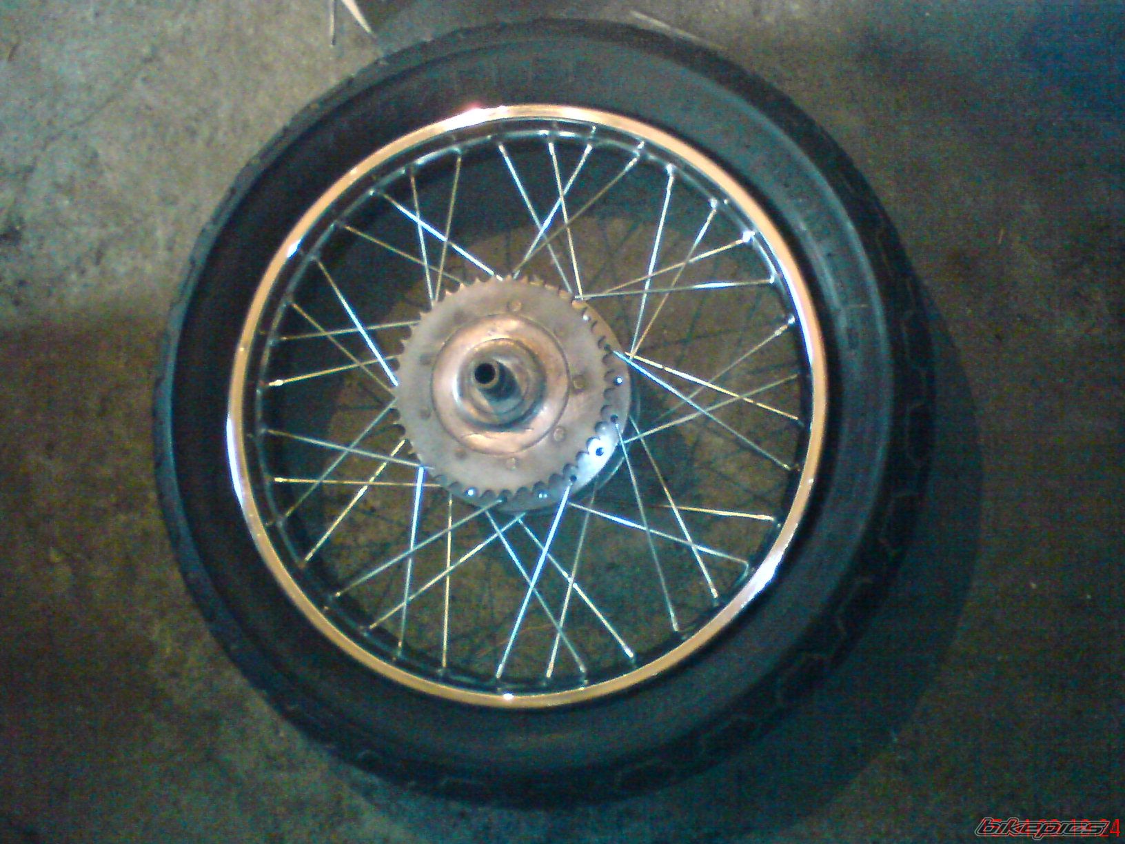 1979 WSK 175 | Picture 1635412 motorcycle photo