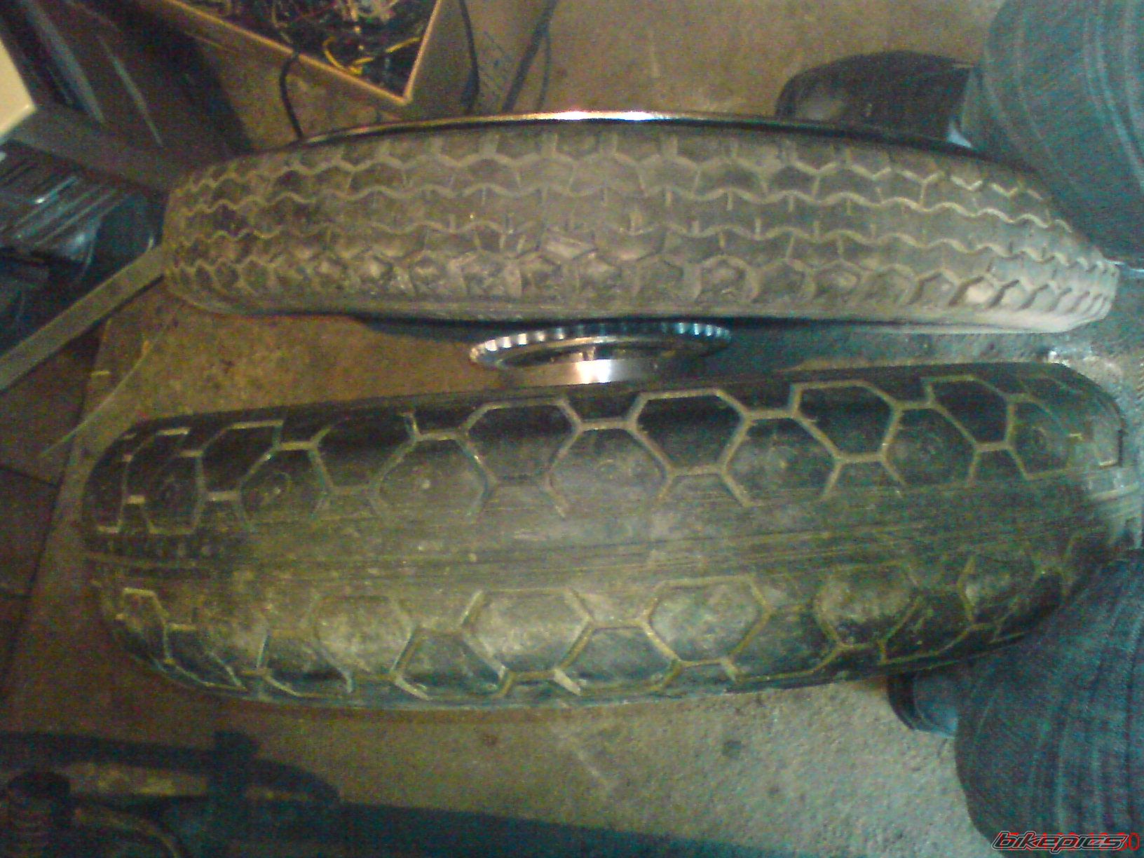 1979 WSK 175 | Picture 1635418 motorcycle photo