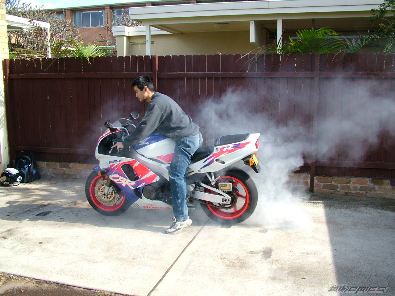1994 HONDA CBR 900 | Picture 163549 motorcycle photo