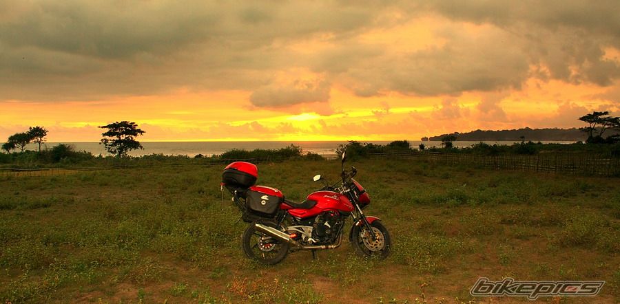 2008 BAJAJ PULSAR 200 | Picture 1636014 motorcycle photo