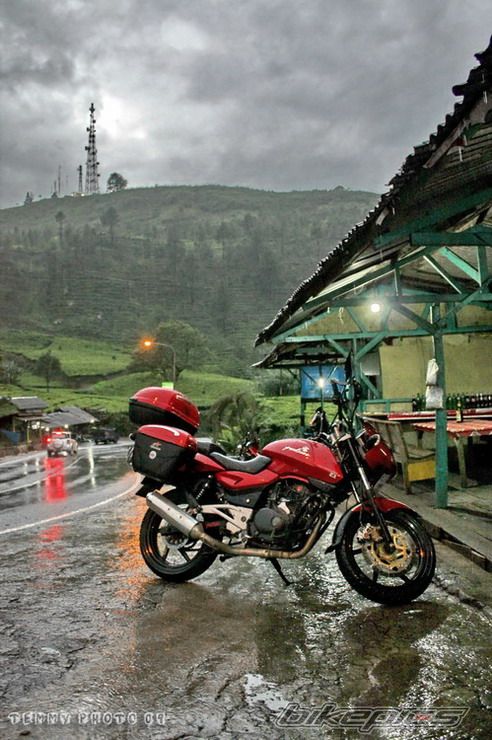 2008 BAJAJ PULSAR 200 | Picture 1636016 motorcycle photo