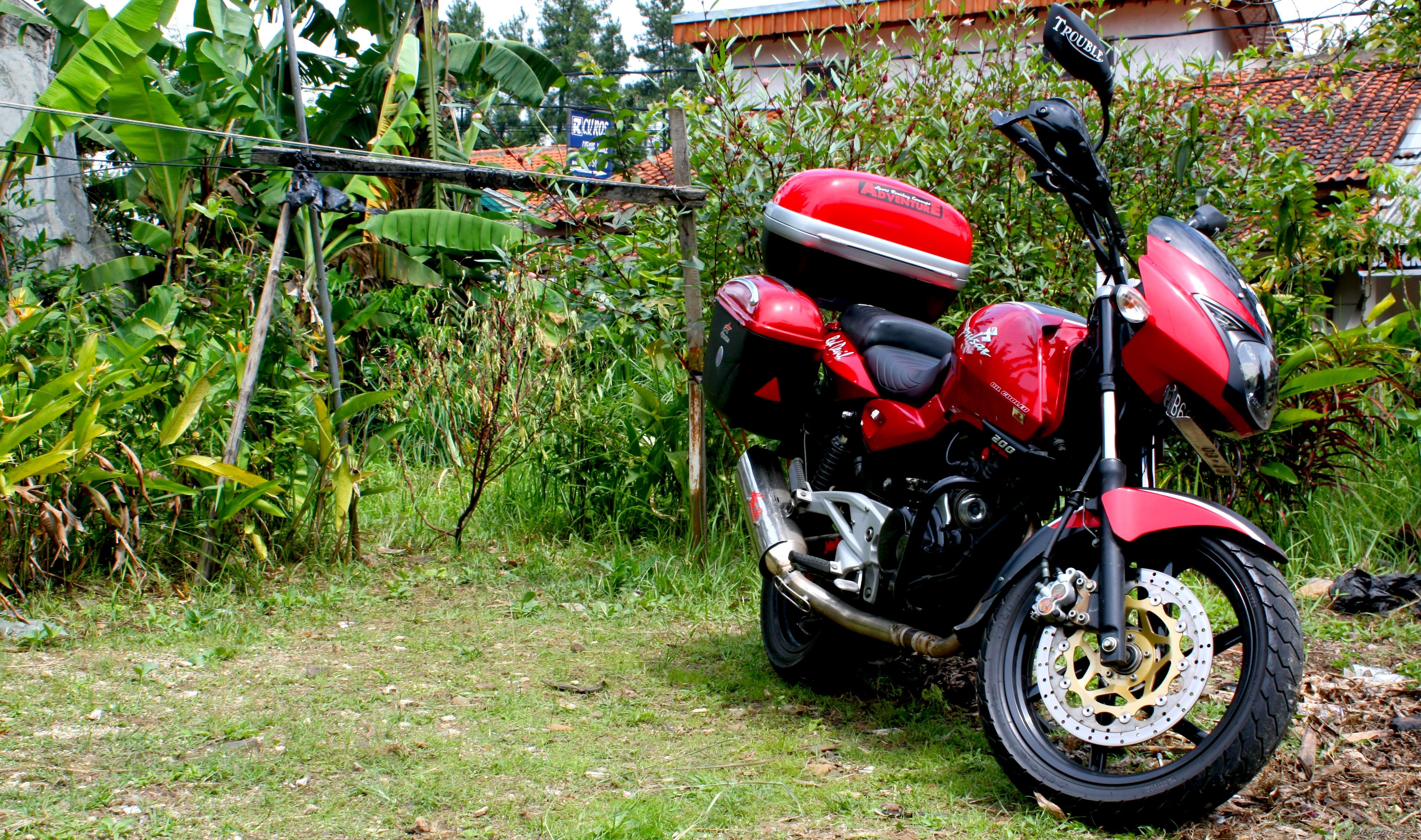 2008 BAJAJ PULSAR 200 | Picture 1636017 motorcycle photo