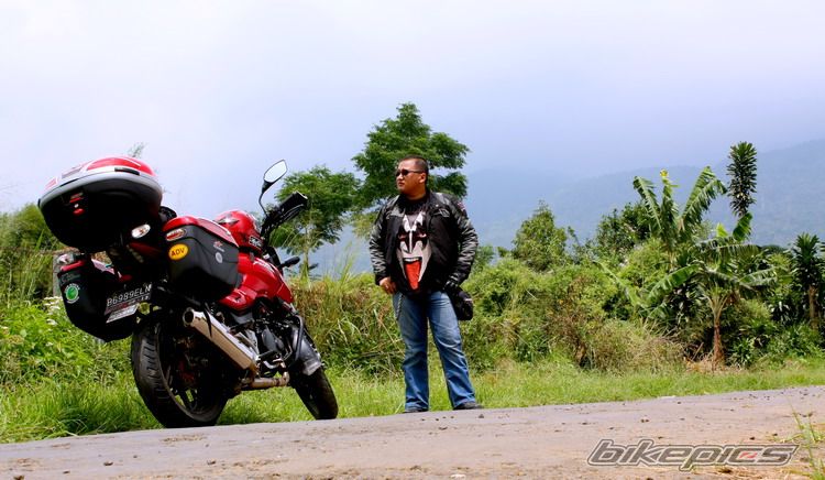 2008 BAJAJ PULSAR 200 | Picture 1636022 motorcycle photo