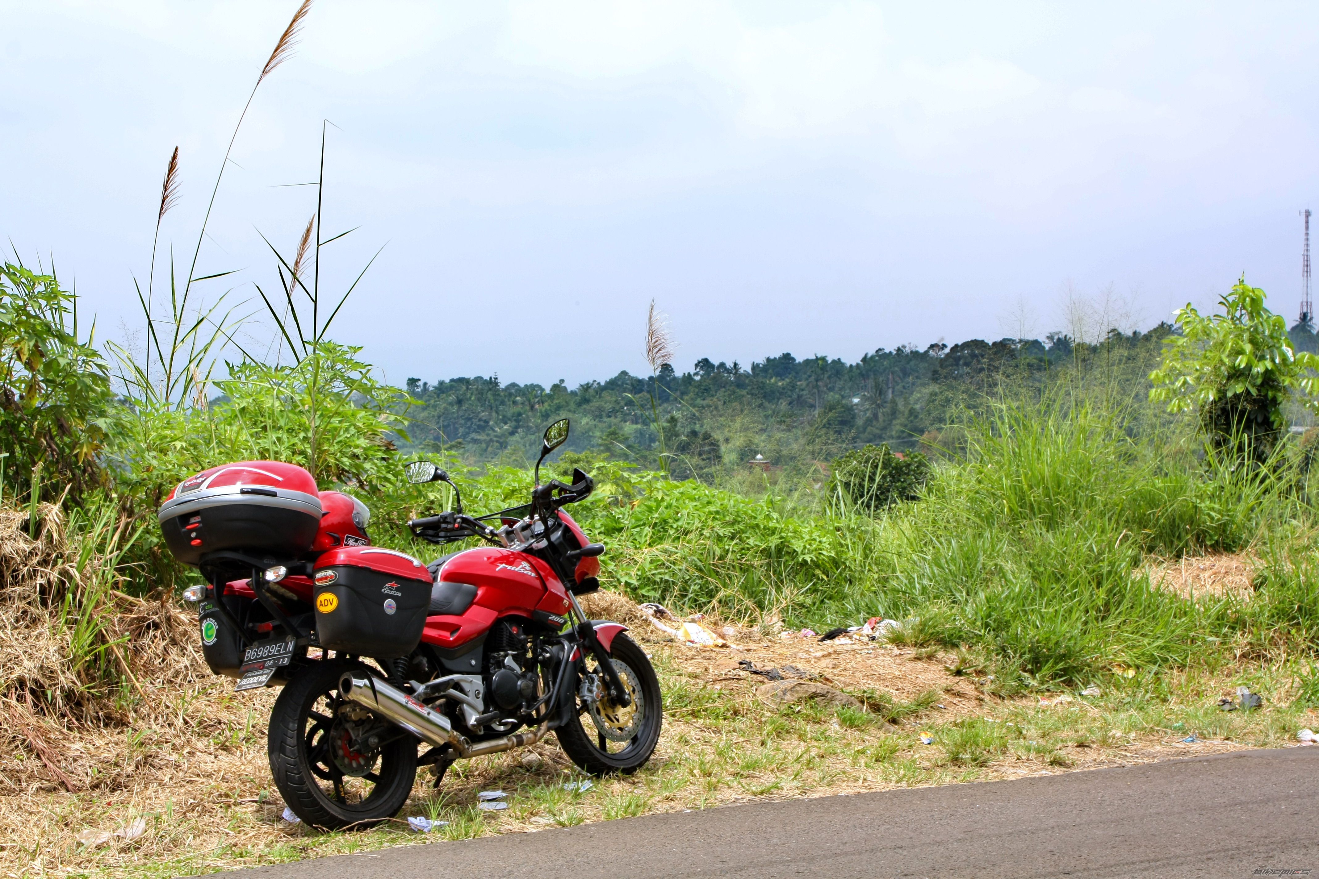 2008 BAJAJ PULSAR 200 | Picture 1636023 motorcycle photo