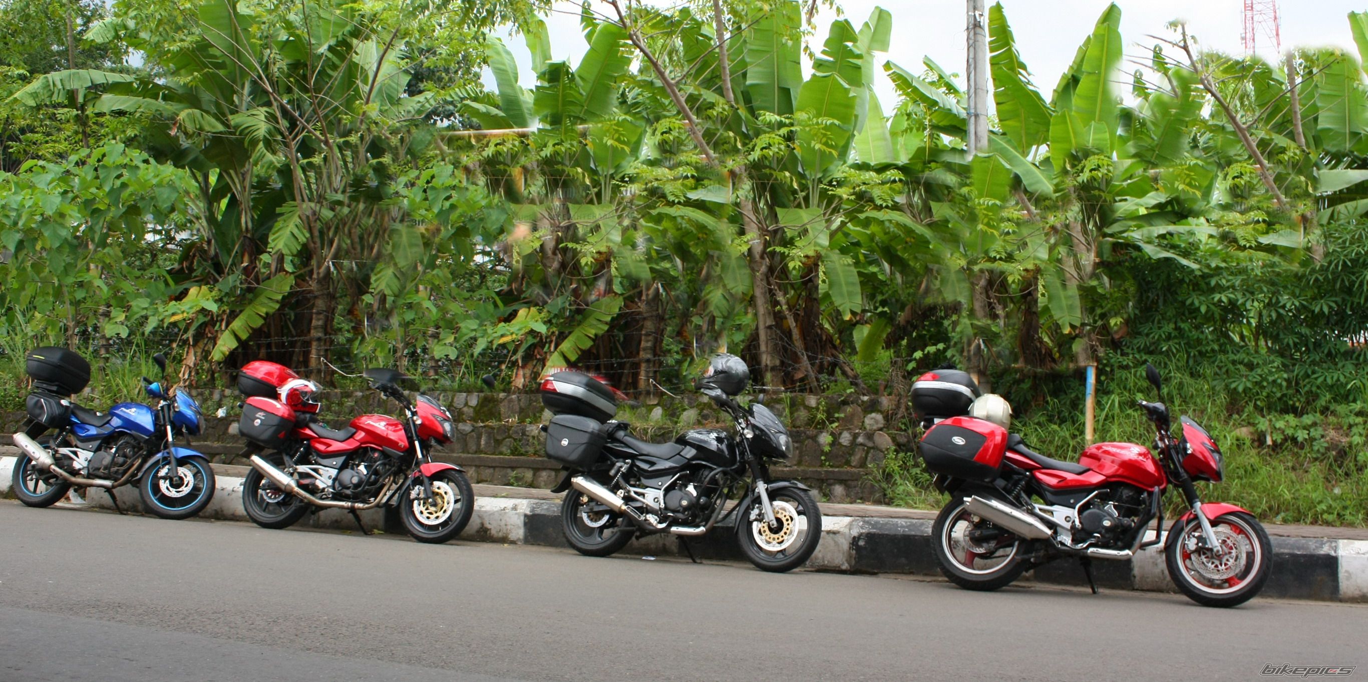 2008 BAJAJ PULSAR 200 | Picture 1636028 motorcycle photo