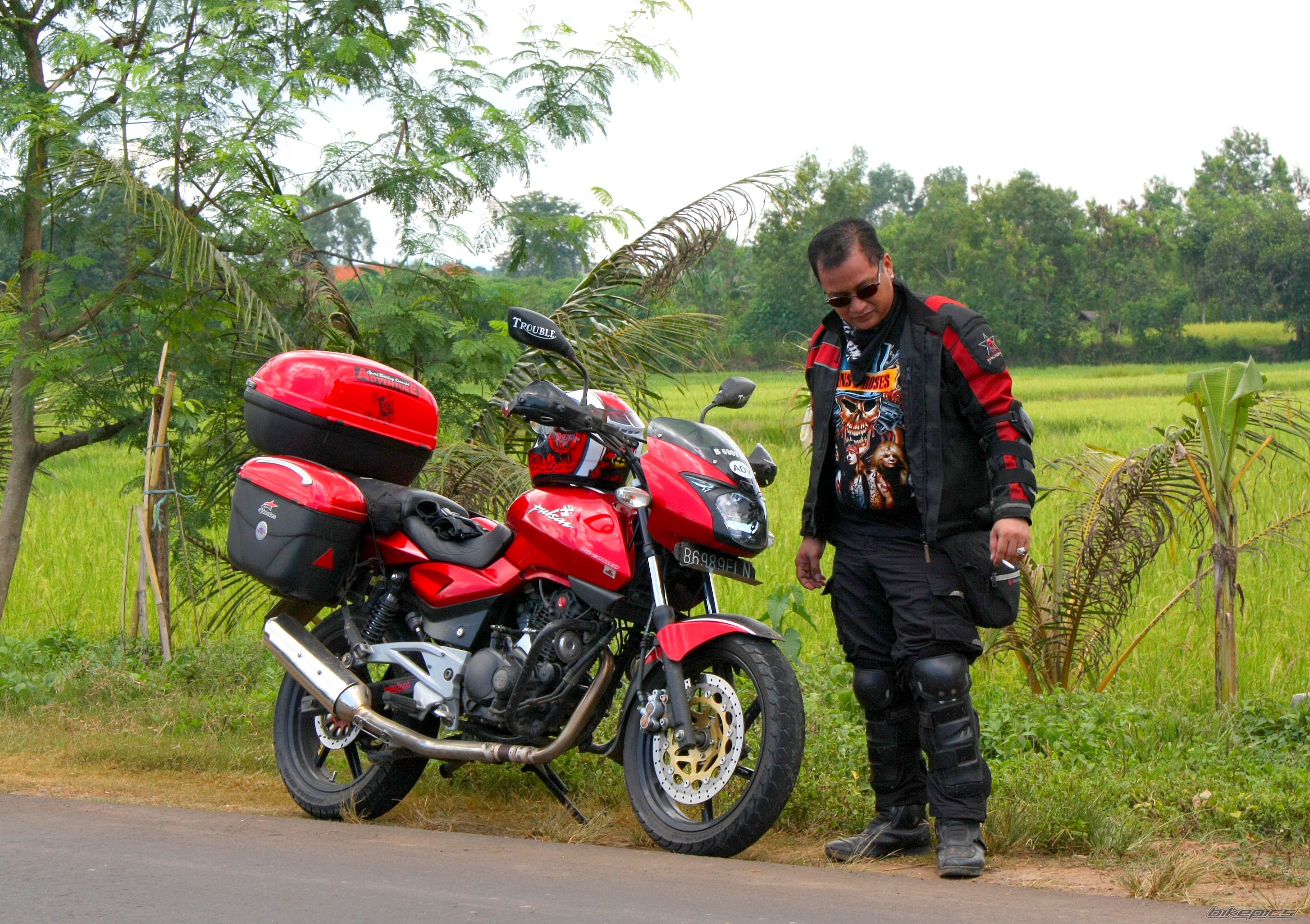 2008 BAJAJ PULSAR 200 | Picture 1636038 motorcycle photo