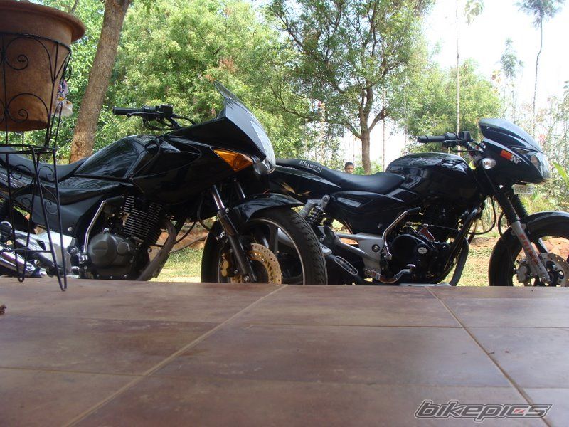 2008 BAJAJ PULSAR 180 | Picture 1636252 motorcycle photo