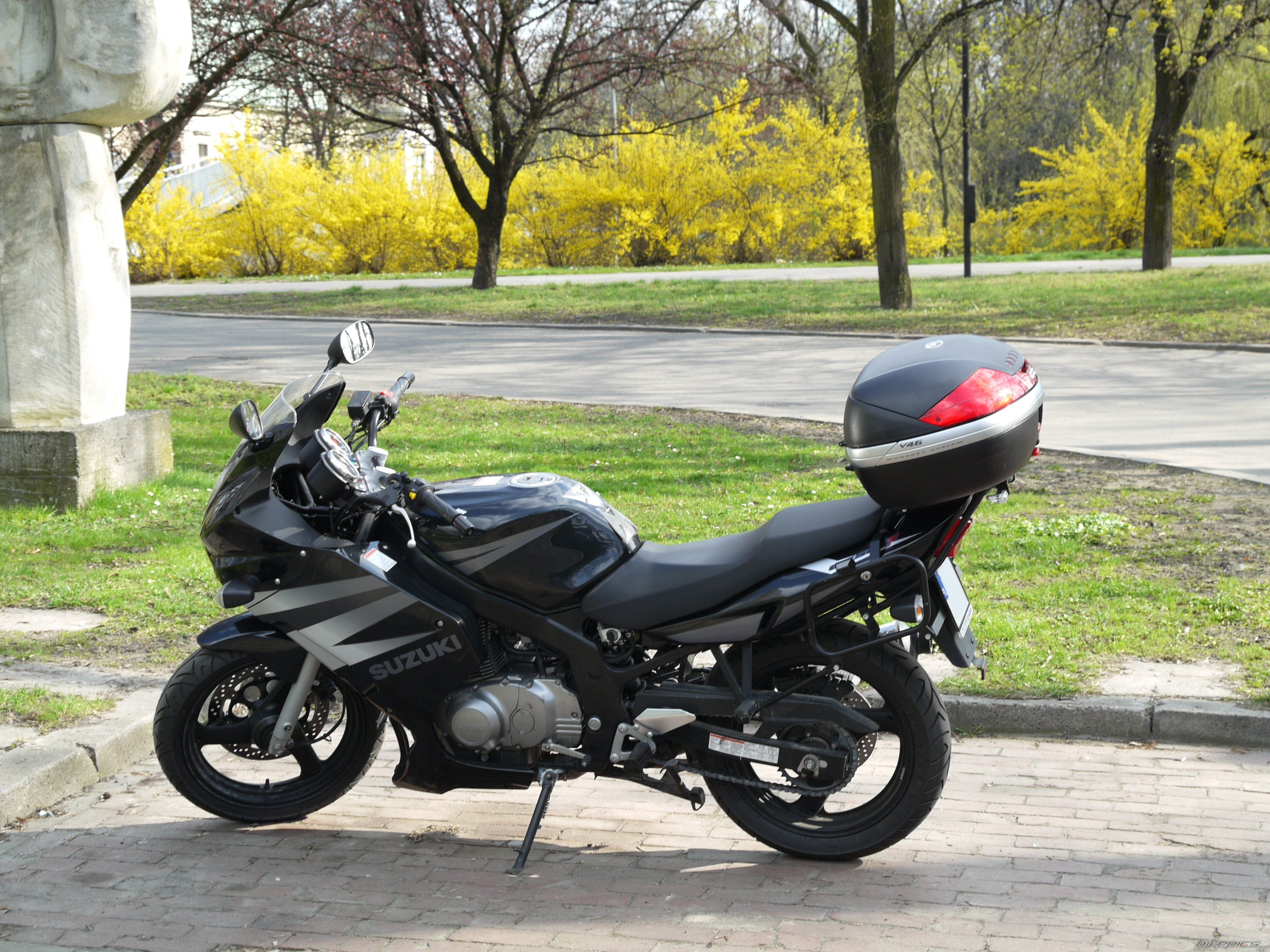 2004 SUZUKI GS 500 | Picture 1637435 motorcycle photo