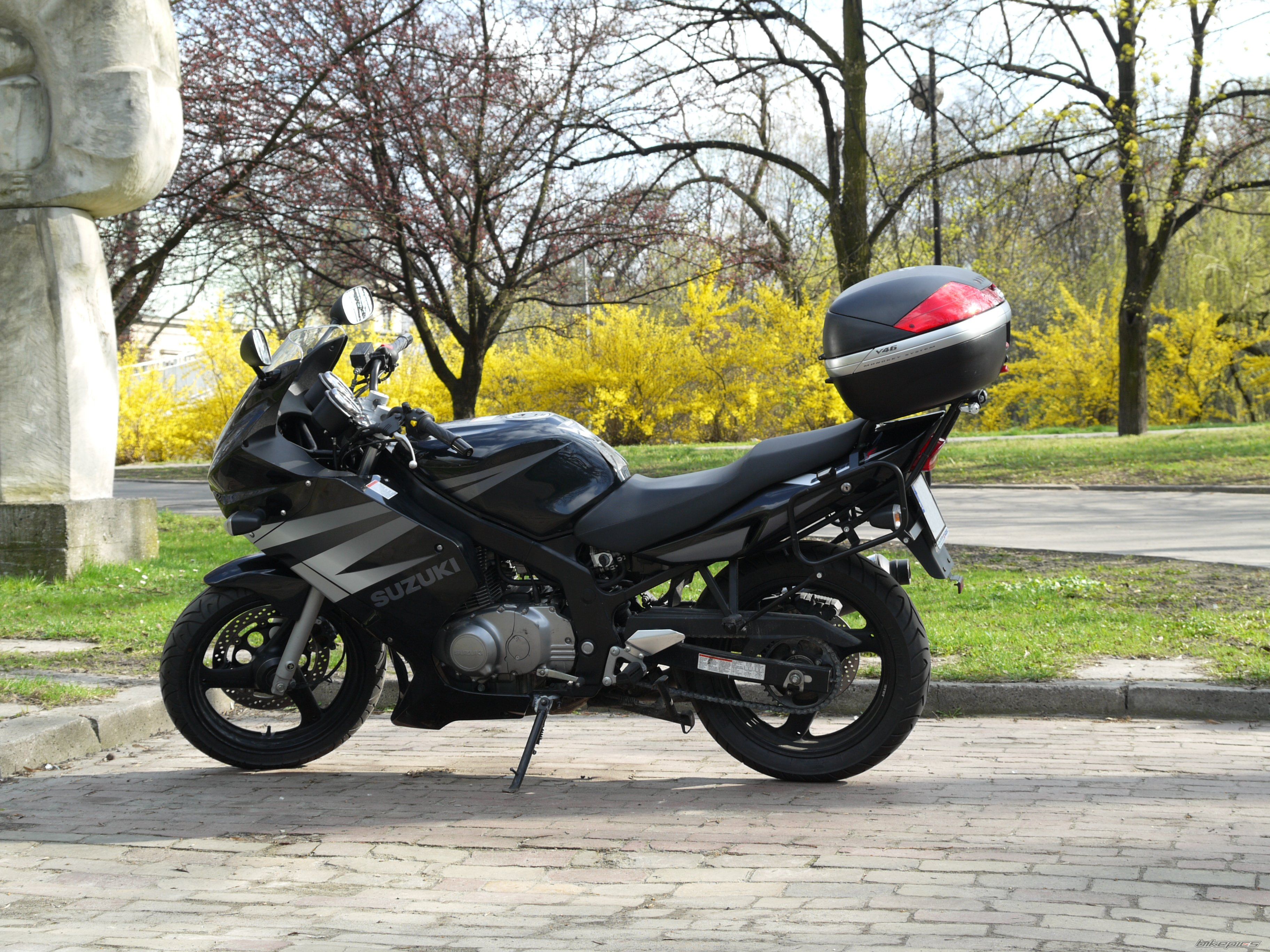 2004 SUZUKI GS 500 | Picture 1637437 motorcycle photo