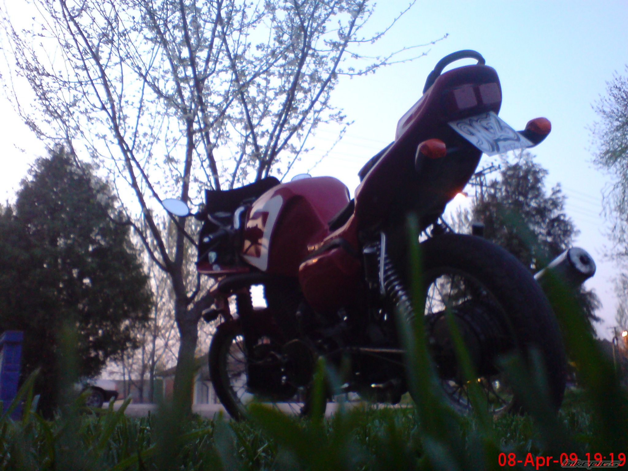 1989 MZ ETZ 251 | Picture 1637521 motorcycle photo