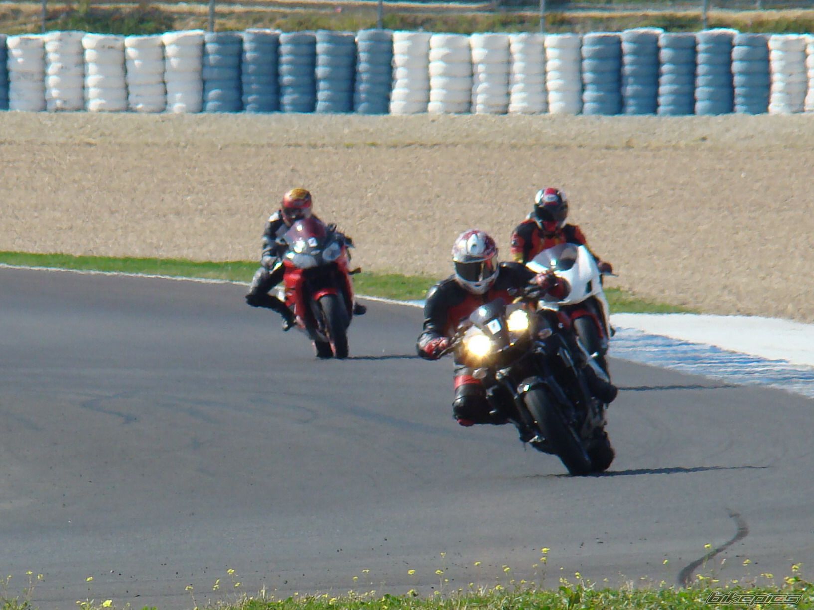 2008 APRILIA RSV MILLE TUONO | Picture 1637576 motorcycle photo