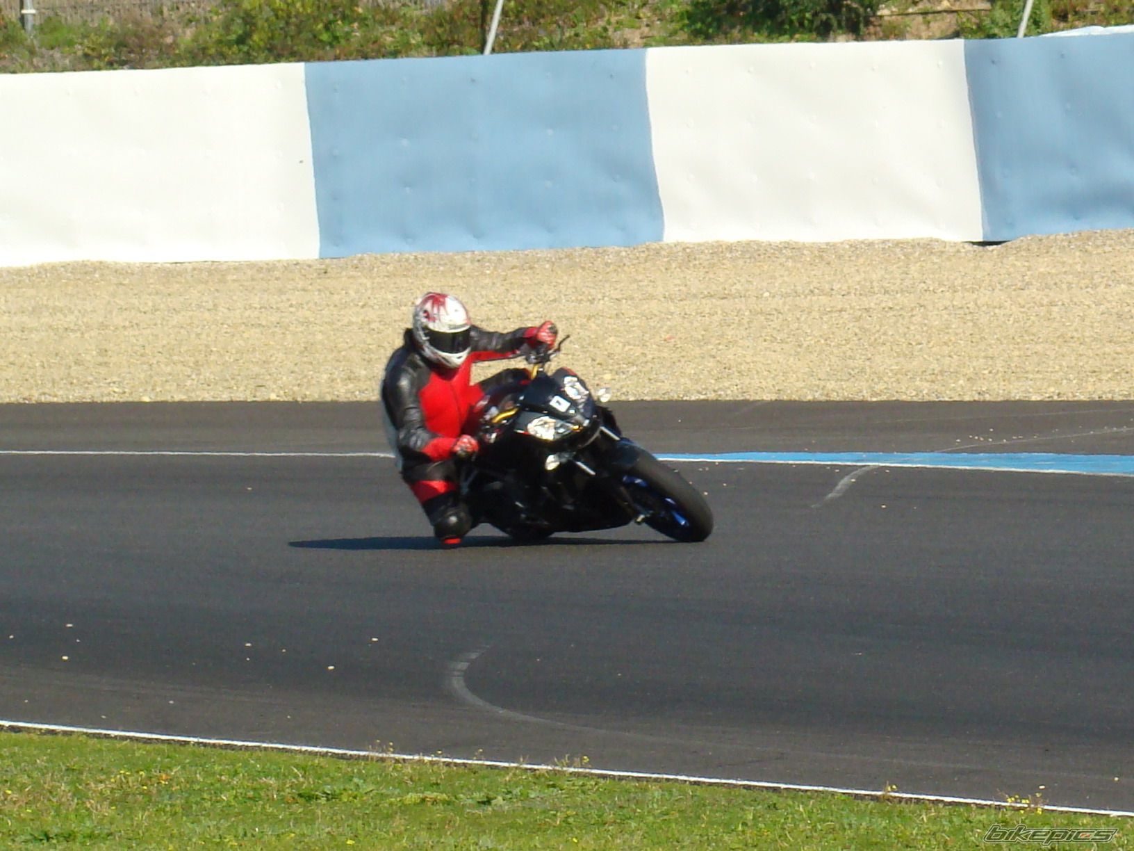 2008 APRILIA RSV MILLE TUONO | Picture 1637584 motorcycle photo