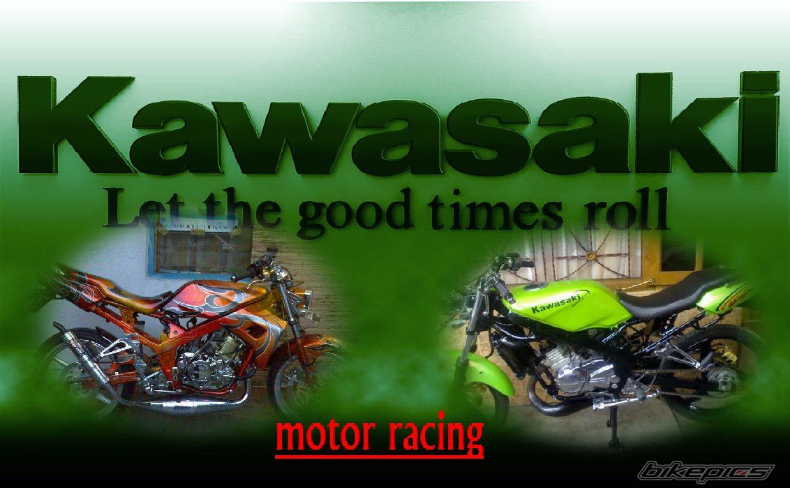 2009 KAWASAKI NINJA 150 | Picture 1637881 motorcycle photo