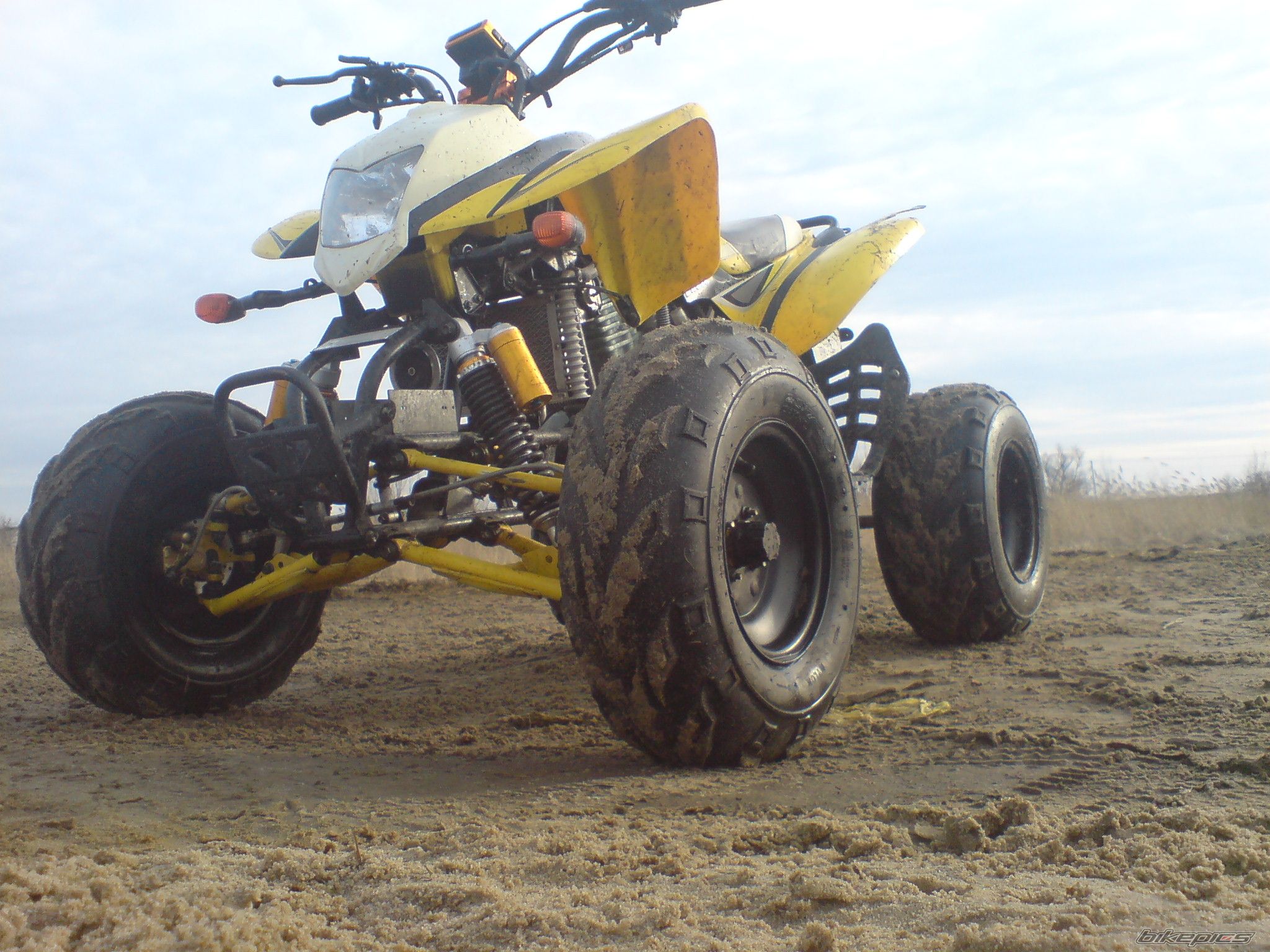 2008 BASHAN BS 200 | Picture 1638986 motorcycle photo