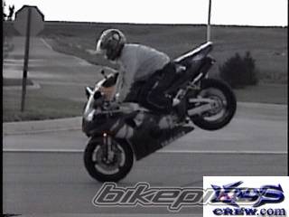 1999 YAMAHA YZF R1 | Picture 16391 motorcycle photo