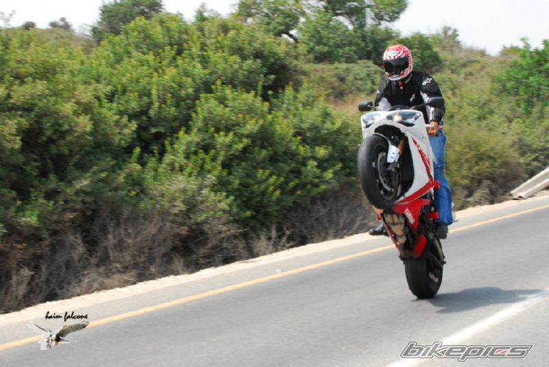 2007 YAMAHA YZF R1 | Picture 1639436 motorcycle photo