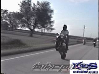 1999 YAMAHA YZF R1 | Picture 16395 motorcycle photo