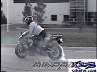 1999 YAMAHA YZF R1 | Picture 16396 motorcycle photo