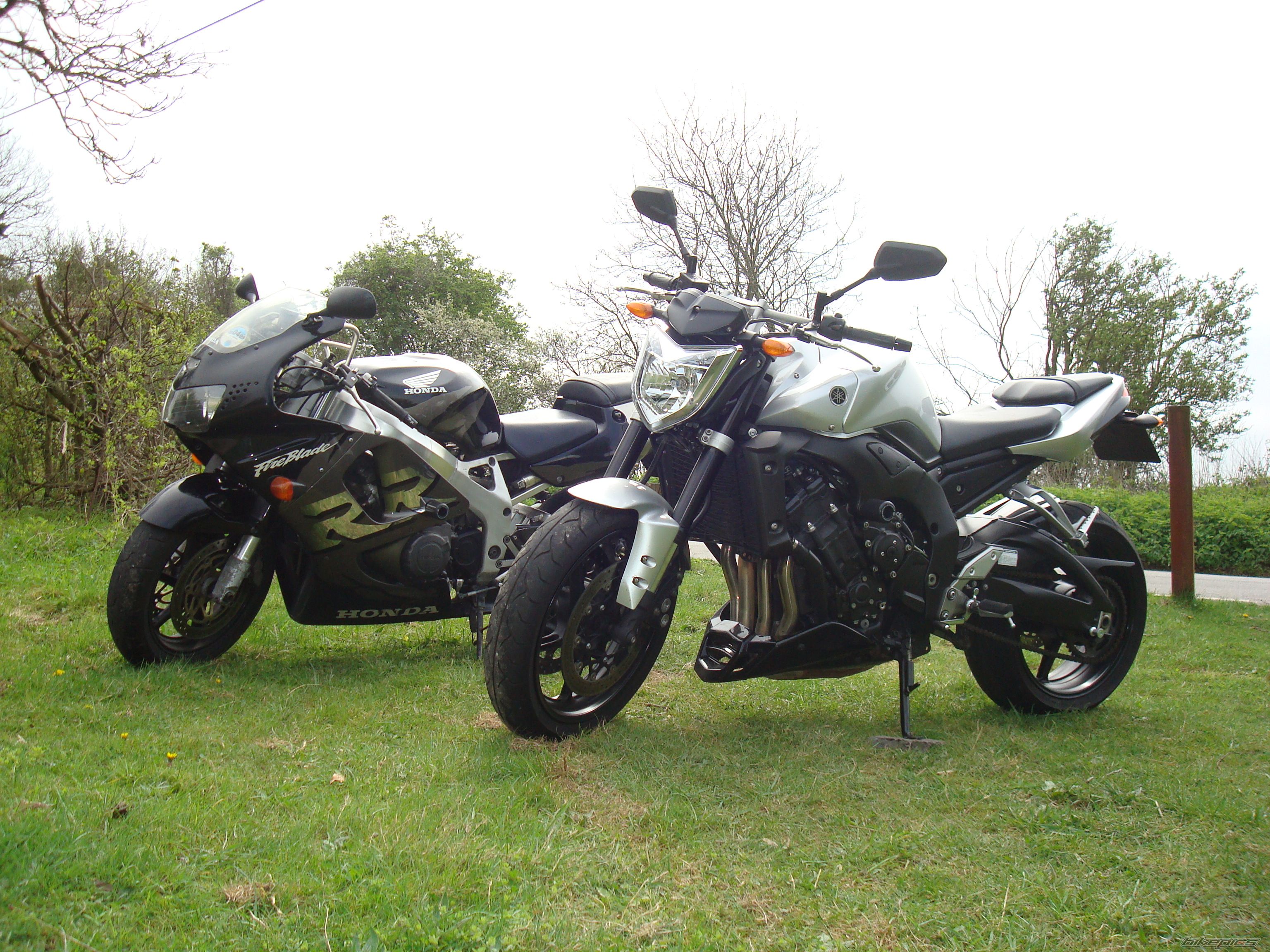 2008 YAMAHA FZ 1N | Picture 1639600 motorcycle photo