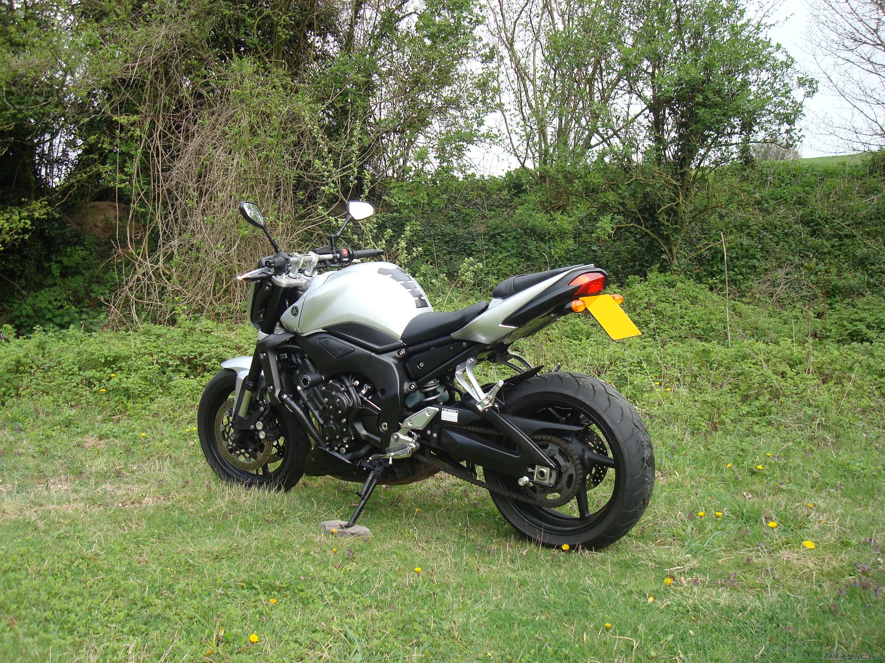 2008 YAMAHA FZ 1N | Picture 1639603 motorcycle photo