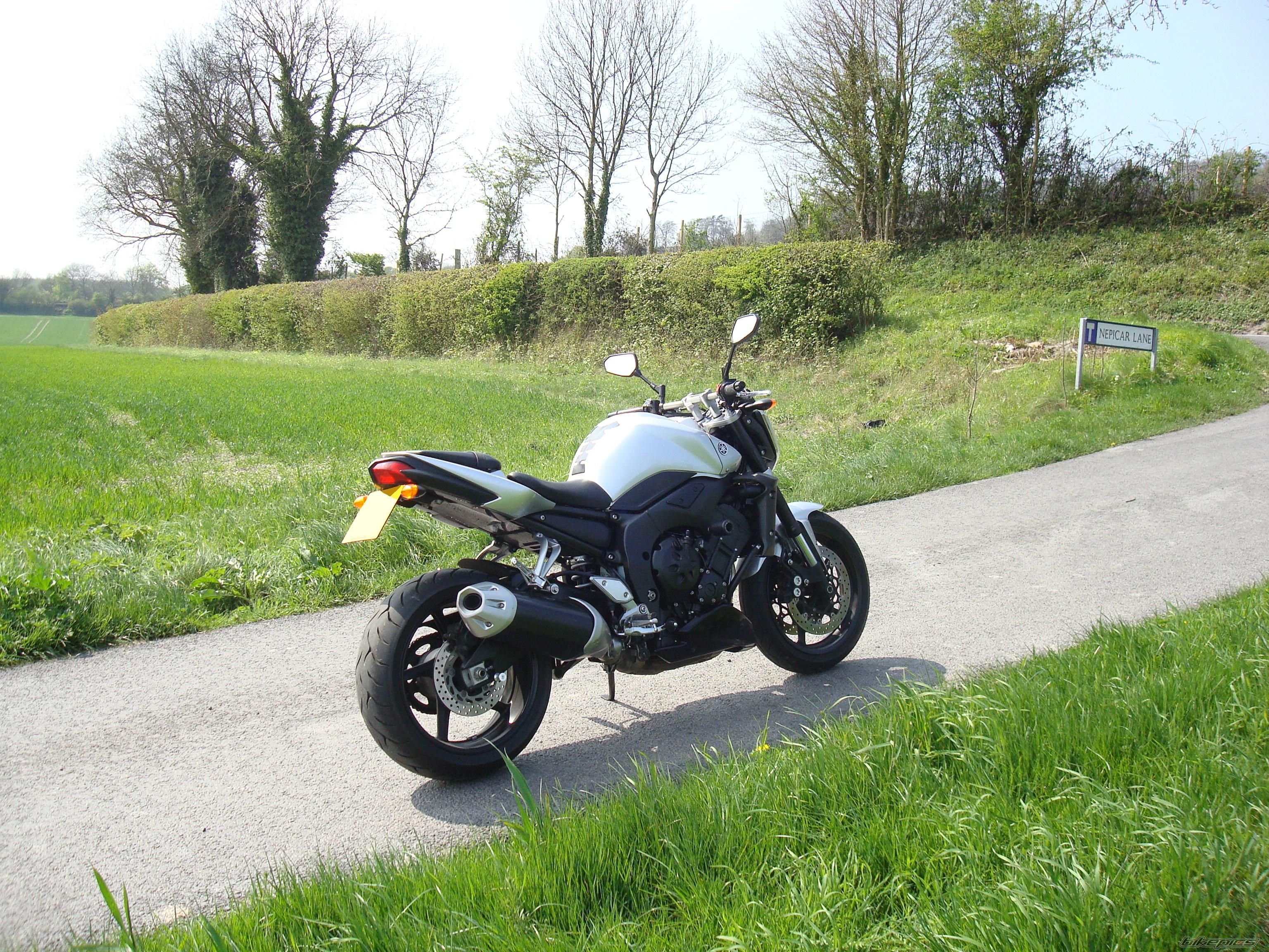 2008 YAMAHA FZ 1N | Picture 1639634 motorcycle photo