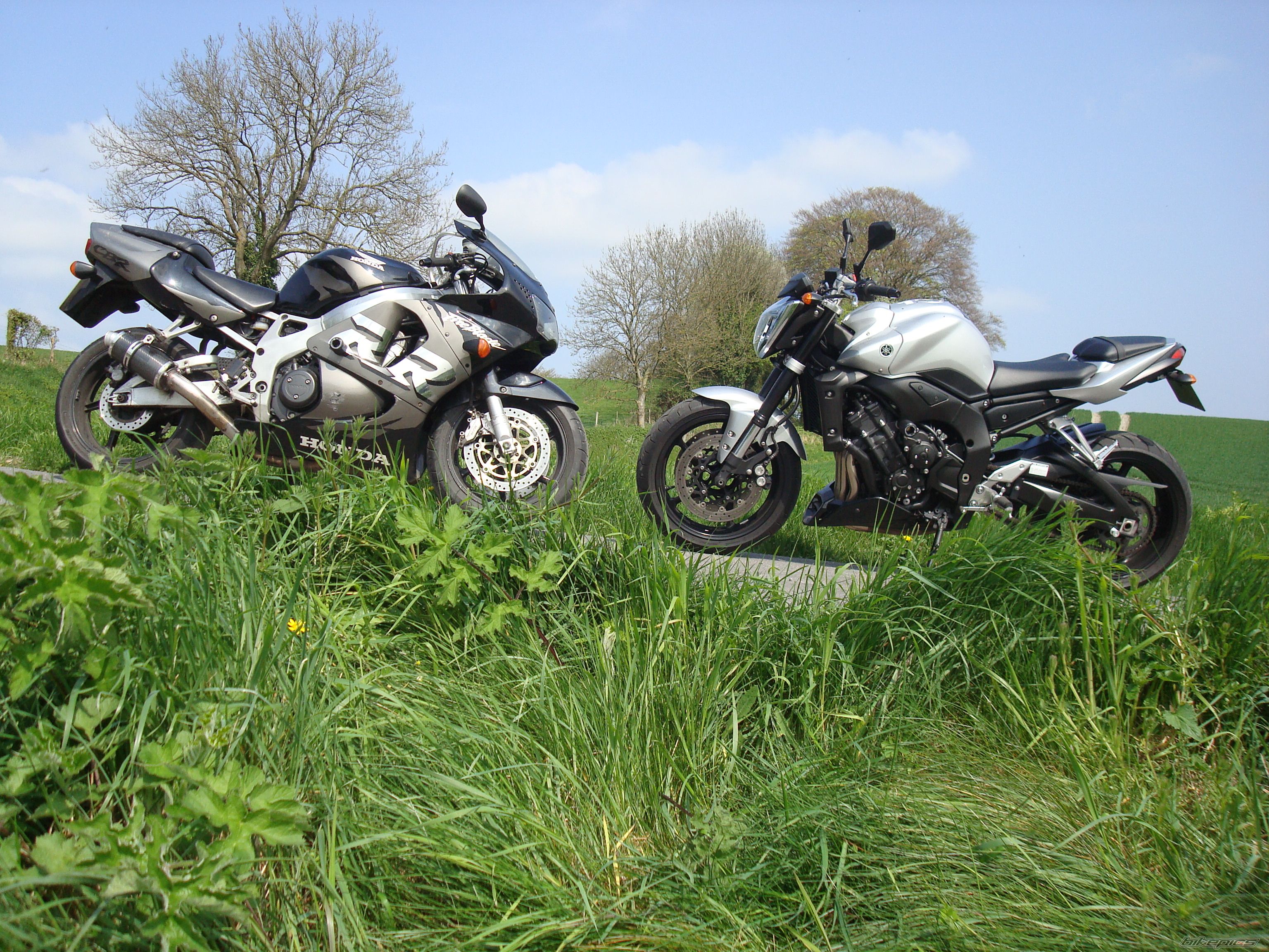 2008 YAMAHA FZ 1N | Picture 1639640 motorcycle photo