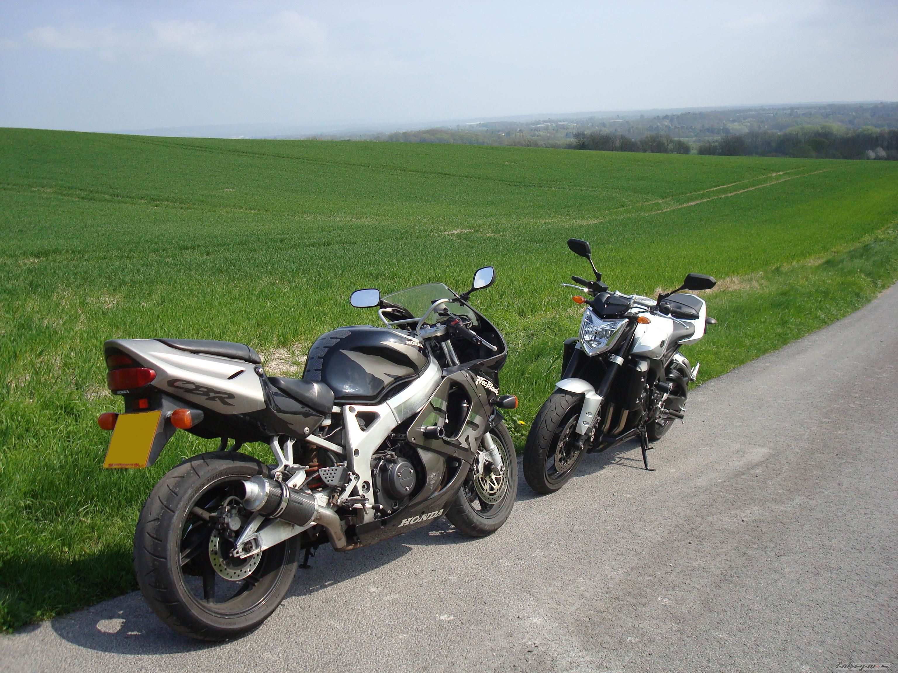 2008 YAMAHA FZ 1N | Picture 1639647 motorcycle photo