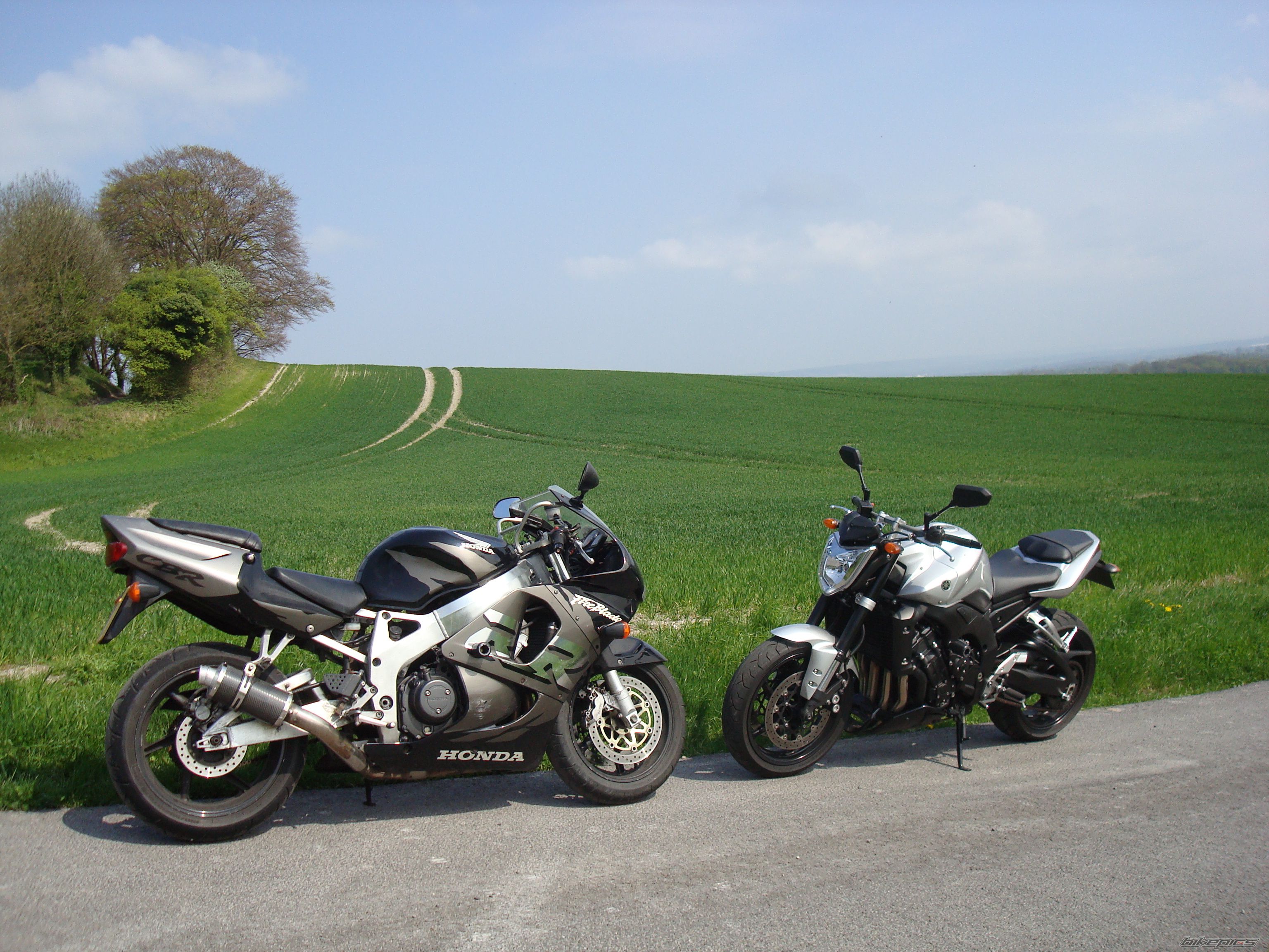 2008 YAMAHA FZ 1N | Picture 1639650 motorcycle photo