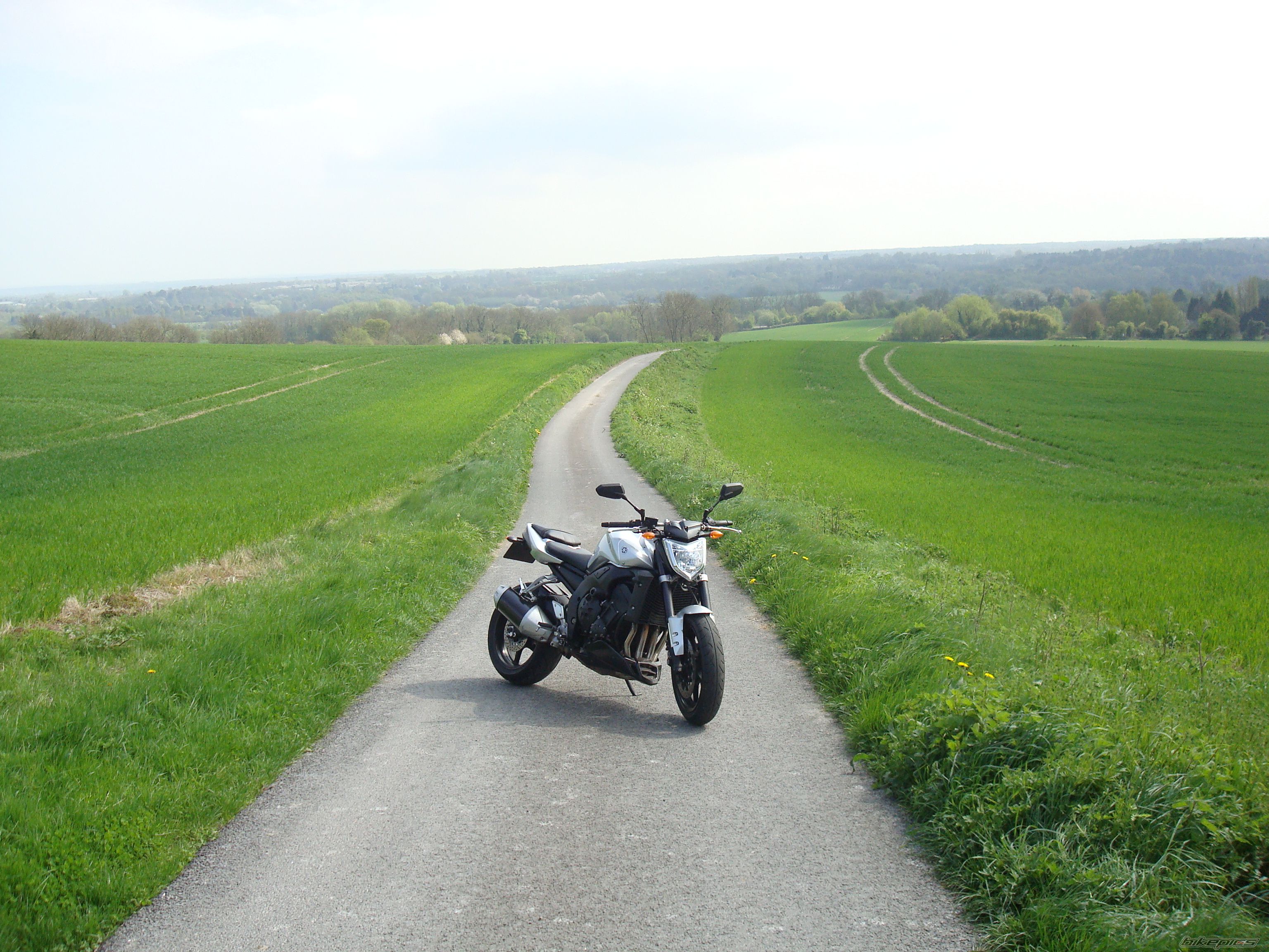 2008 YAMAHA FZ 1N | Picture 1639653 motorcycle photo