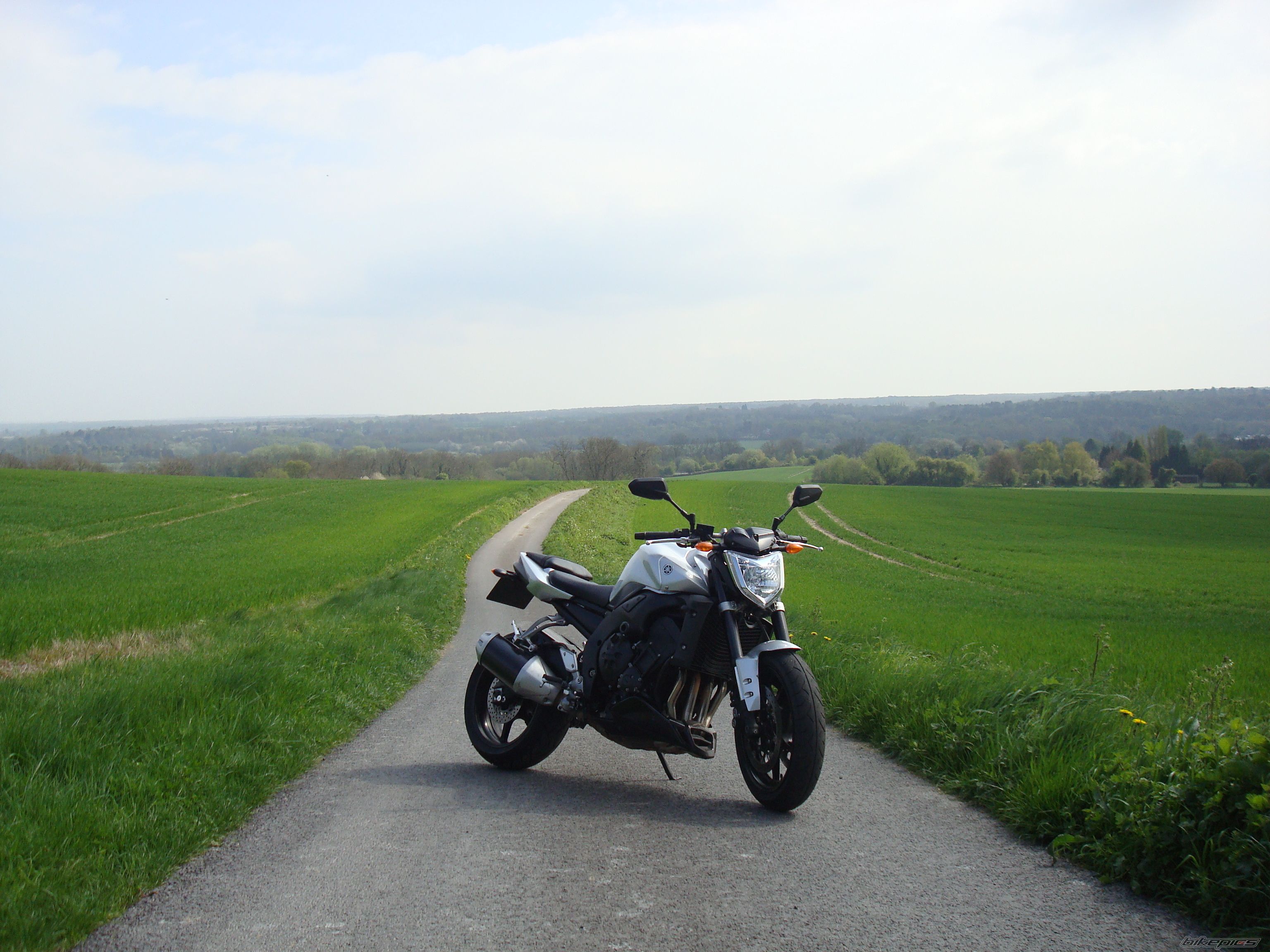 2008 YAMAHA FZ 1N | Picture 1639654 motorcycle photo