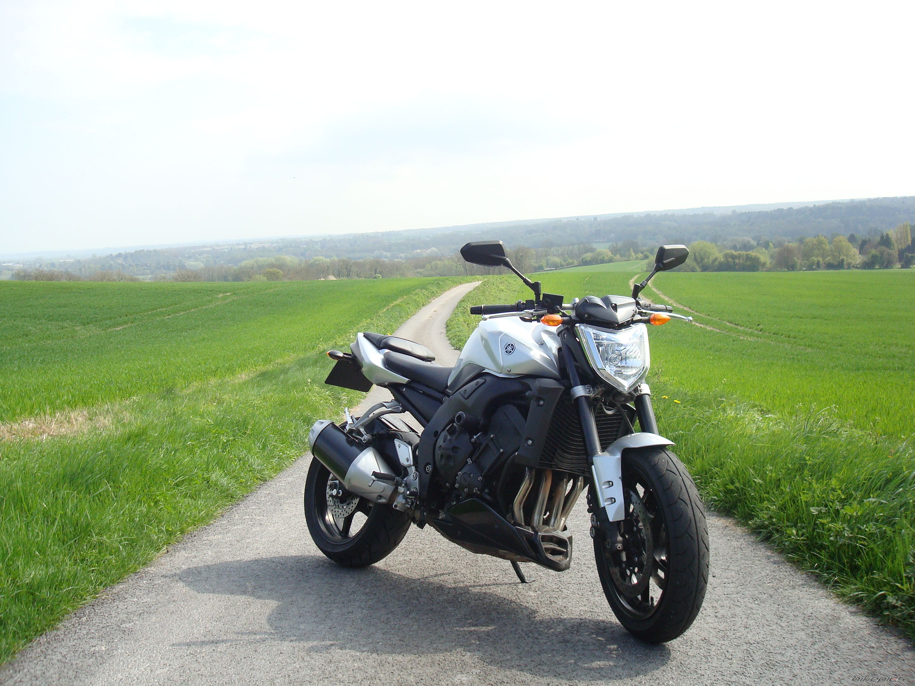2008 YAMAHA FZ 1N | Picture 1639657 motorcycle photo