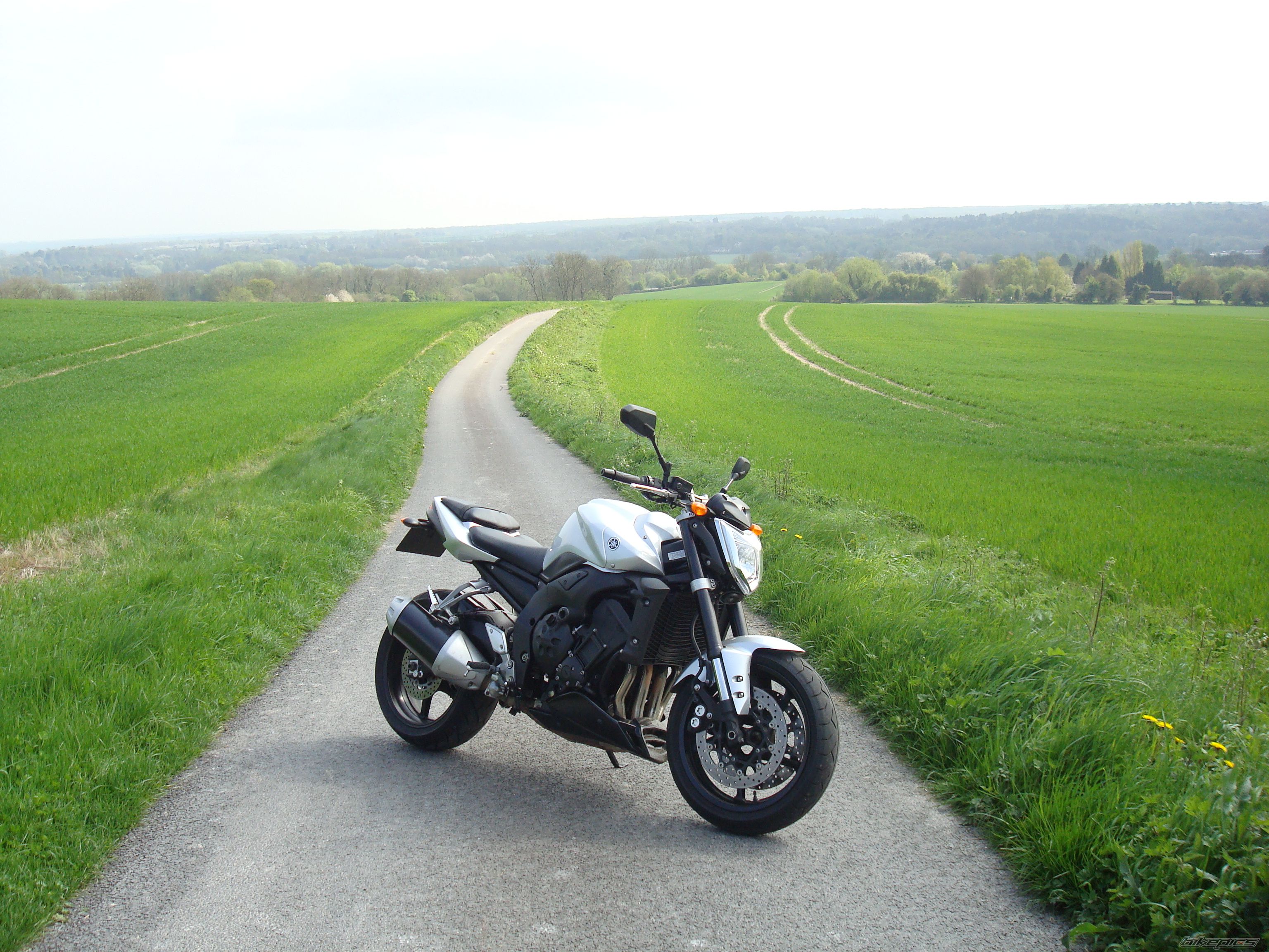 2008 YAMAHA FZ 1N | Picture 1639659 motorcycle photo
