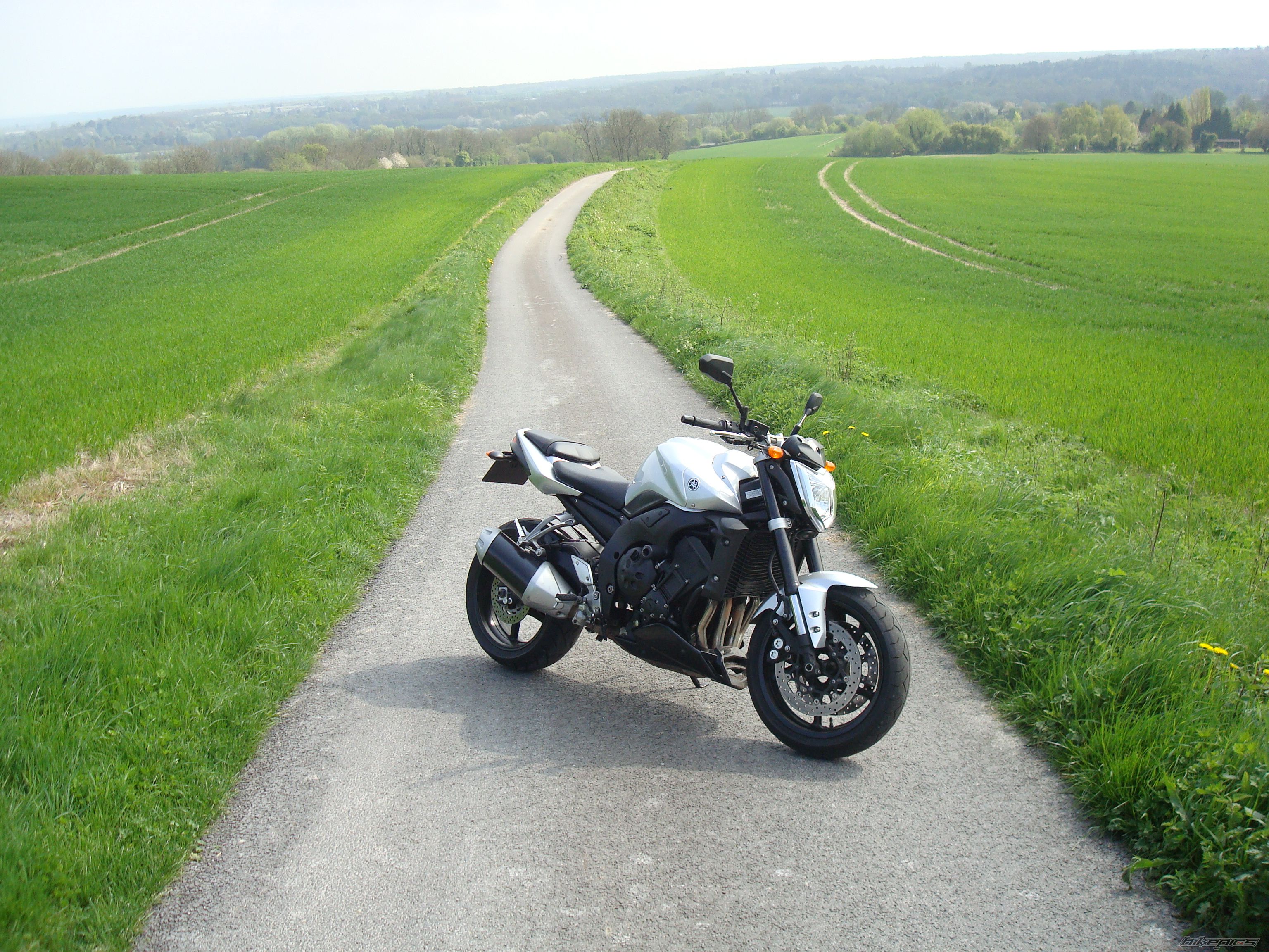 2008 YAMAHA FZ 1N | Picture 1639661 motorcycle photo