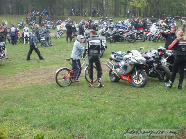    | Picture 1639960 motorcycle photo