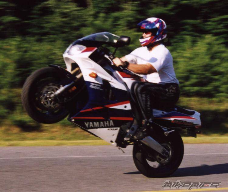 1995  FZR 1000 | Picture 164 motorcycle photo