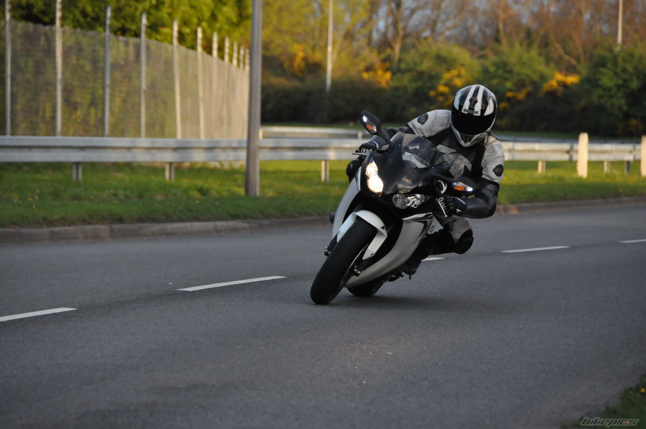 2008 HONDA CBR 1000  RR | Picture 1640066 motorcycle photo